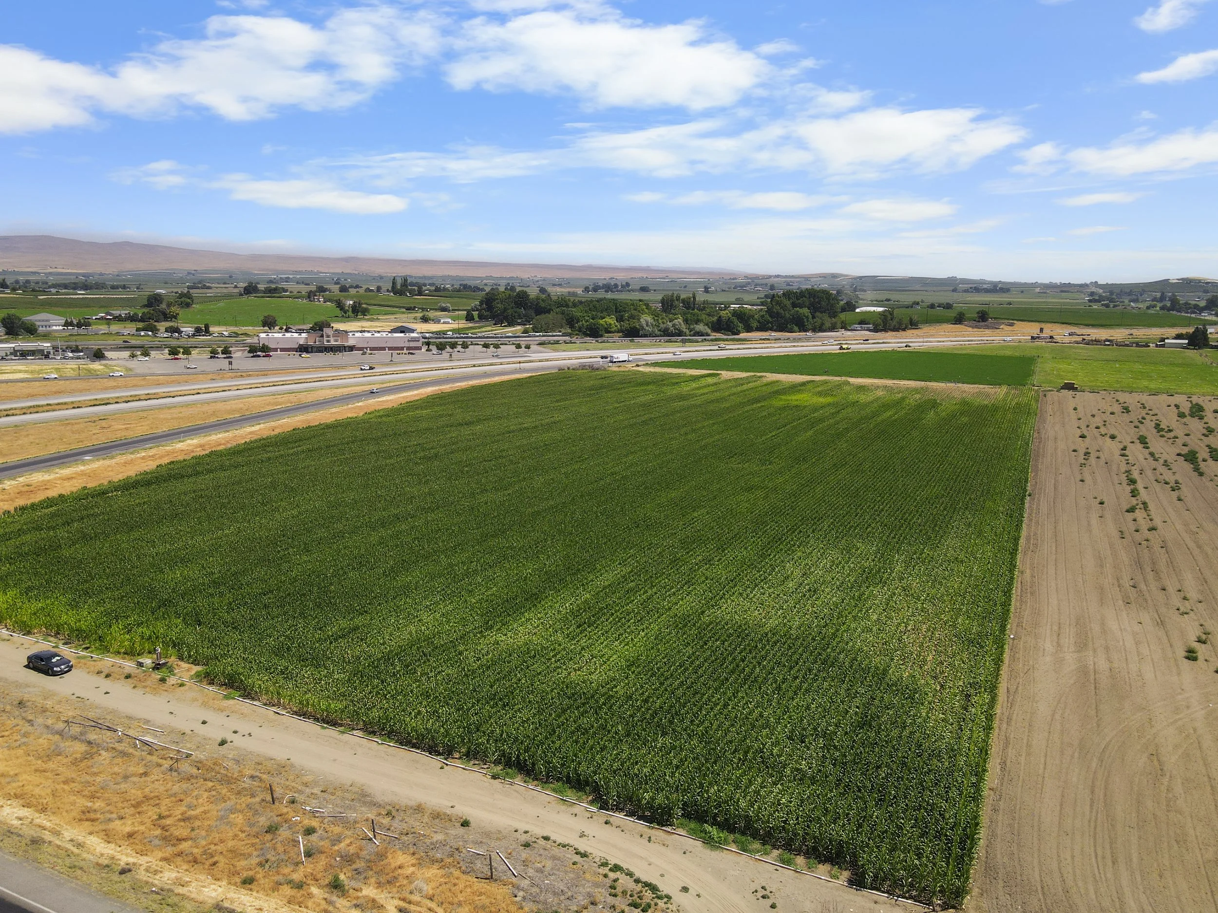DJI_0484.jpg