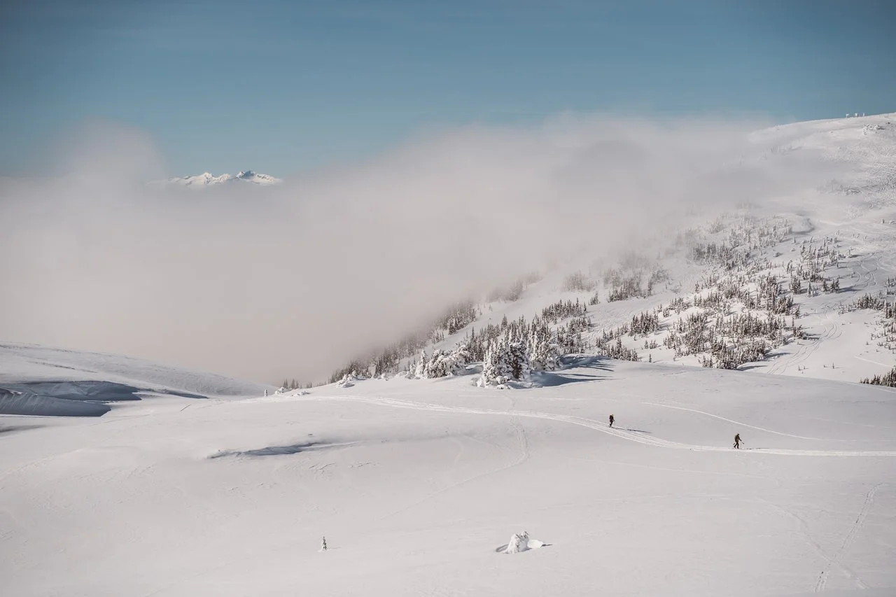 Whistler-Blackcomb.jpg
