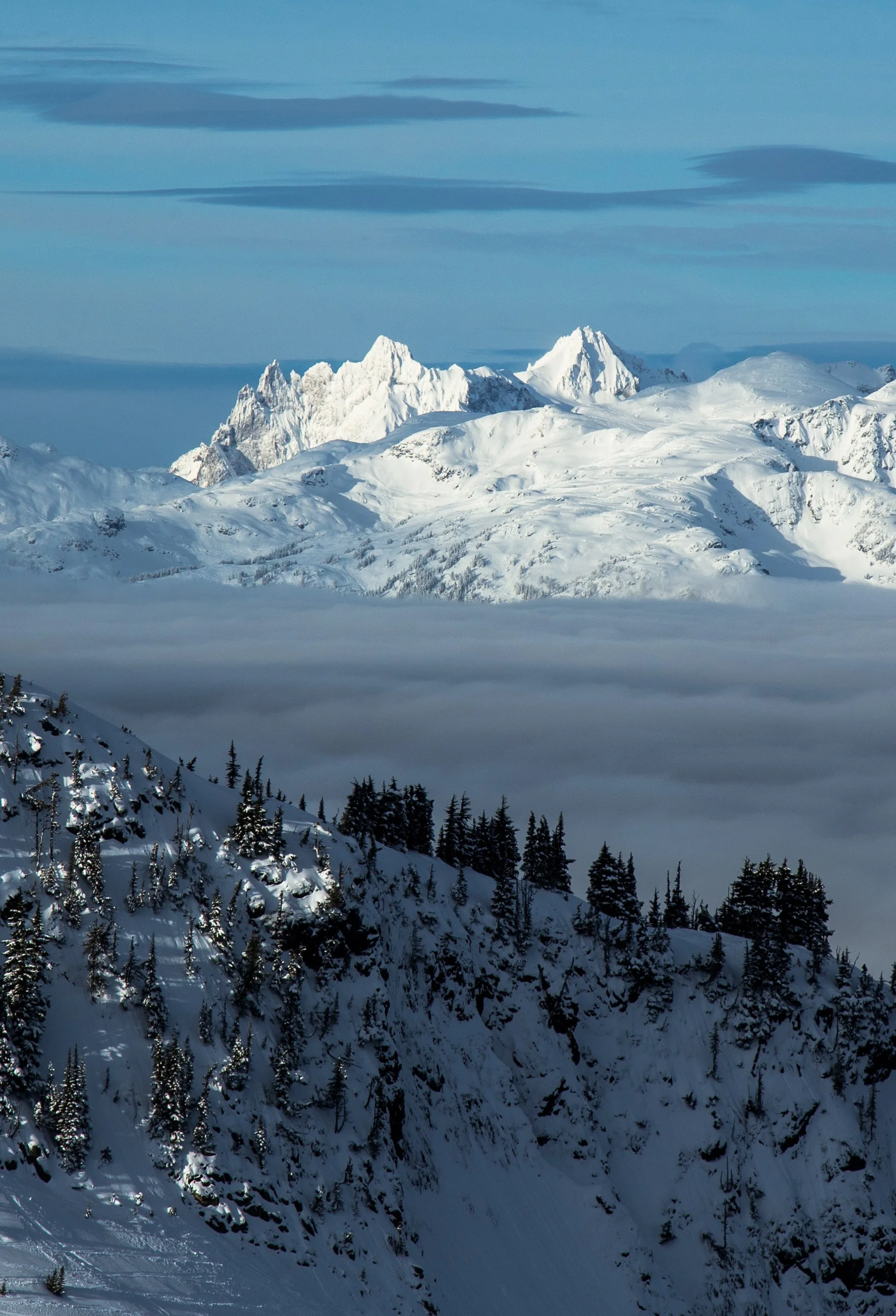 Whistler-Mountain.jpg