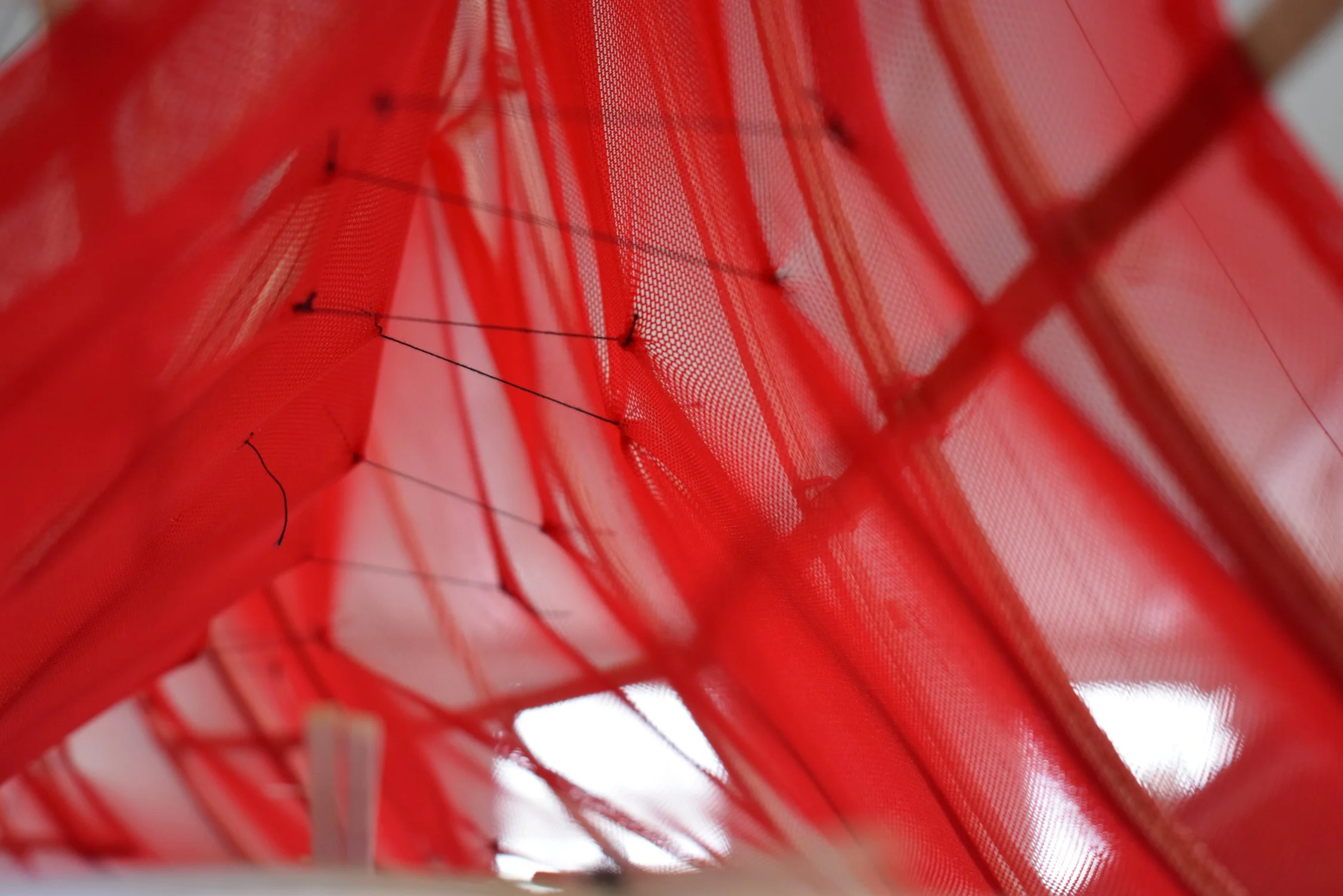 DSC_0557.png