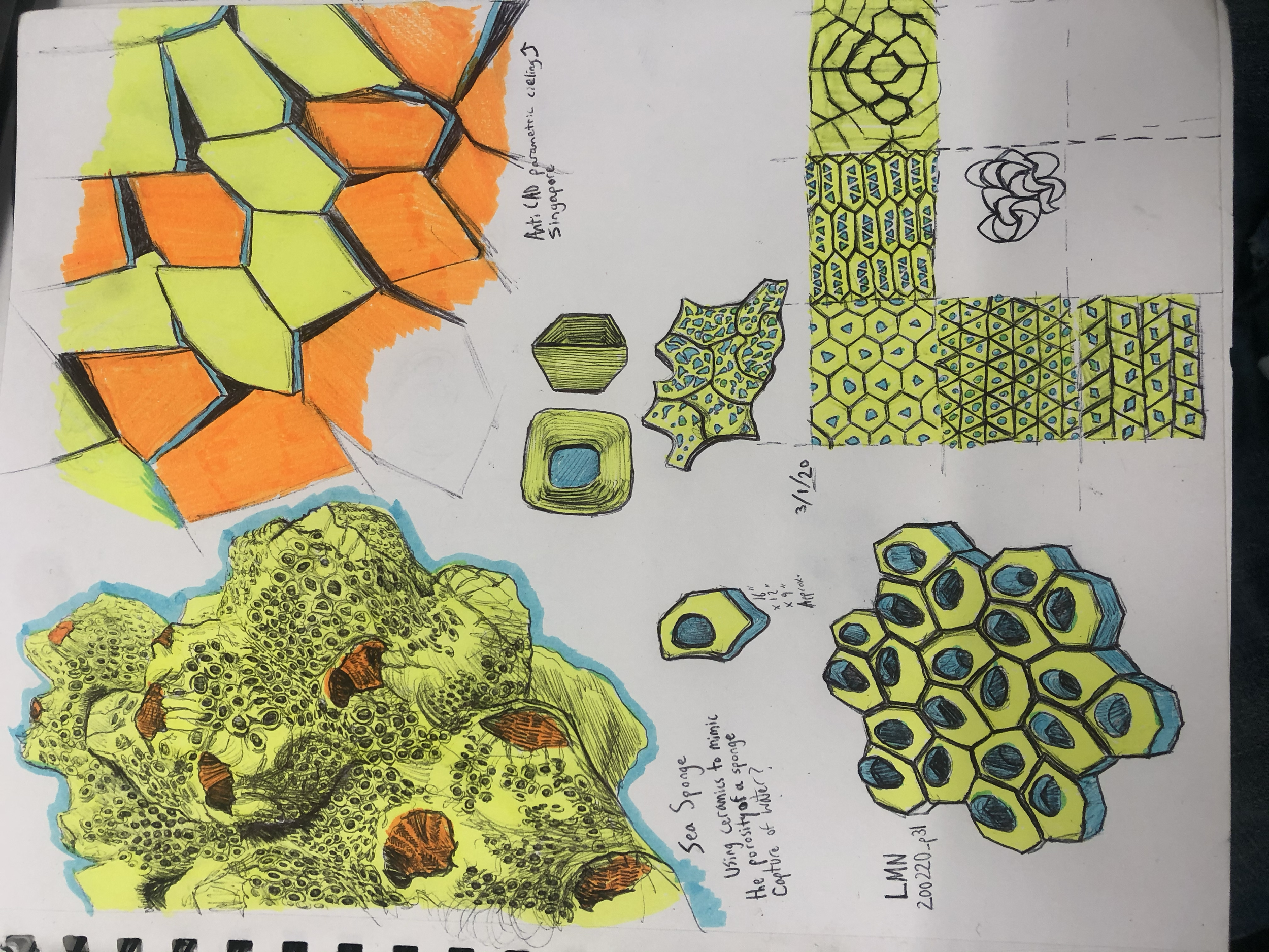 Sea Sponge Study and Terracotta module studies