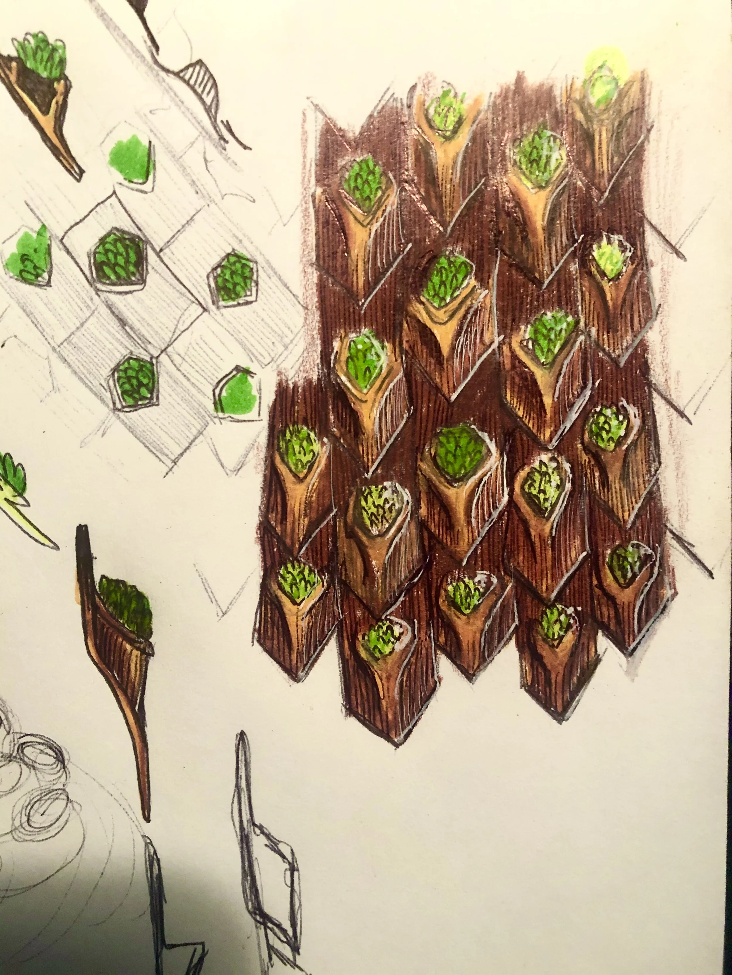 Terracotta Planters (2020)