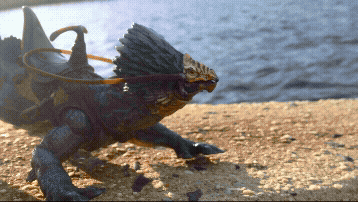 Pond-Fiction-excerpt_3.gif