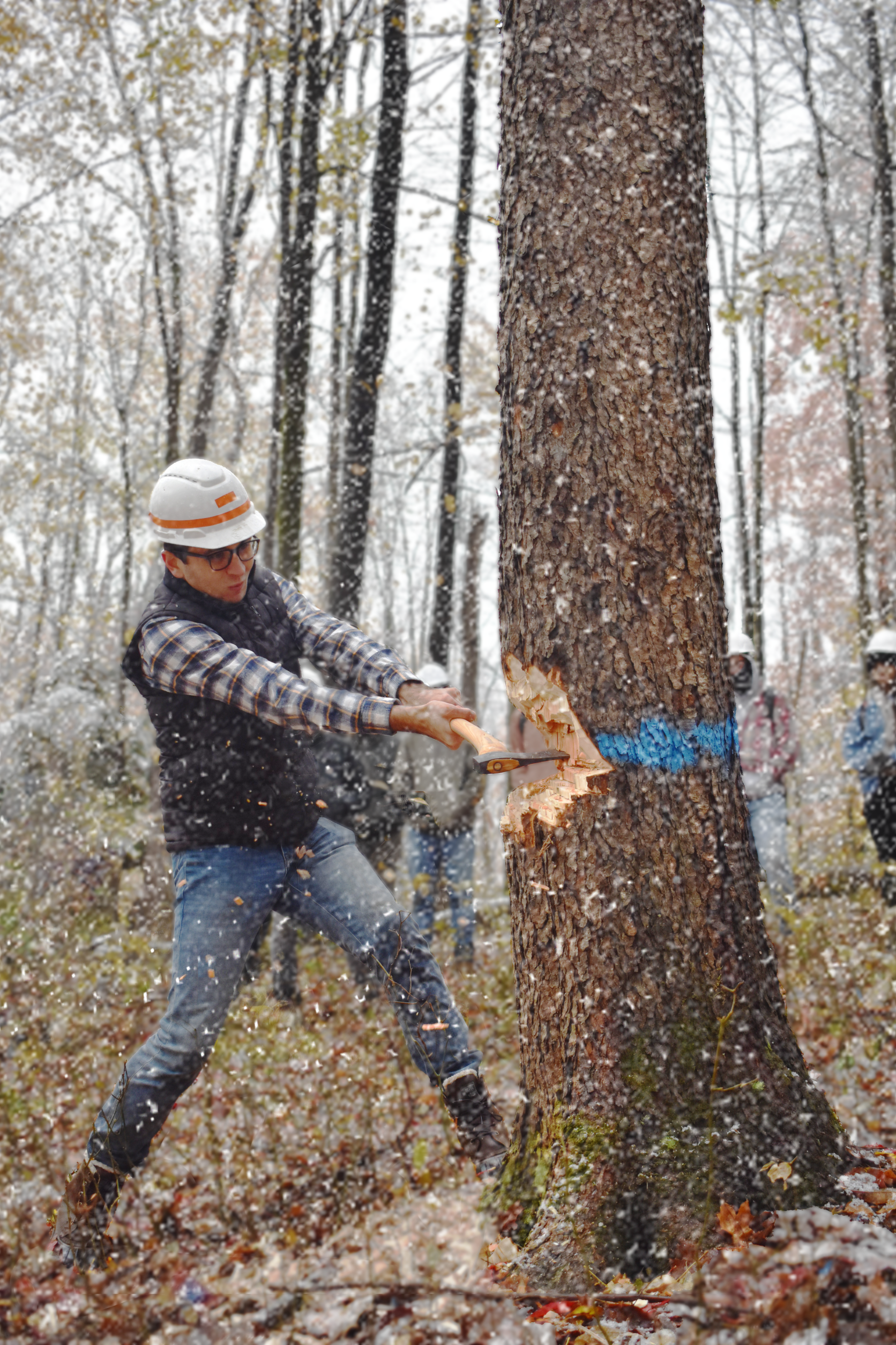 barkan_axe cutting_3b.PNG