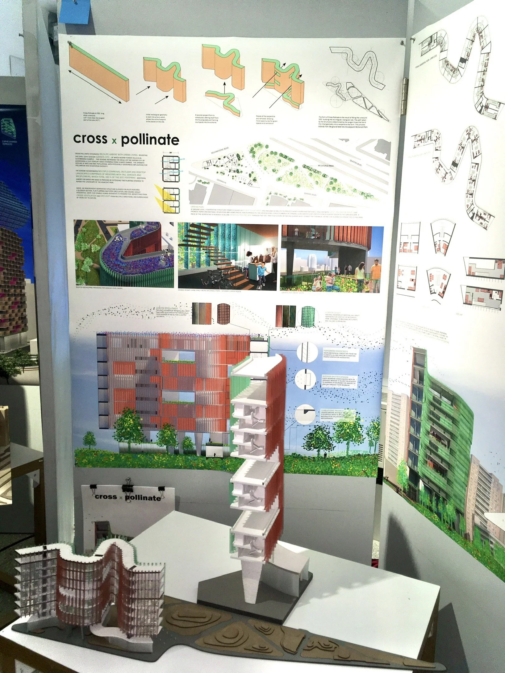 Cross Pollinate on display at the Universities senior competition where it received the joint runner-up prize.