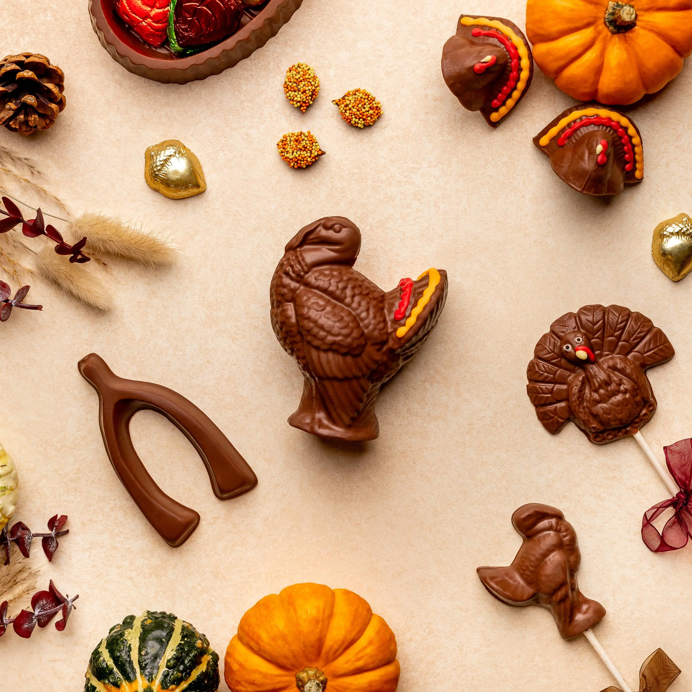 Enjou Thanksgiving 23 Retouched.jpg