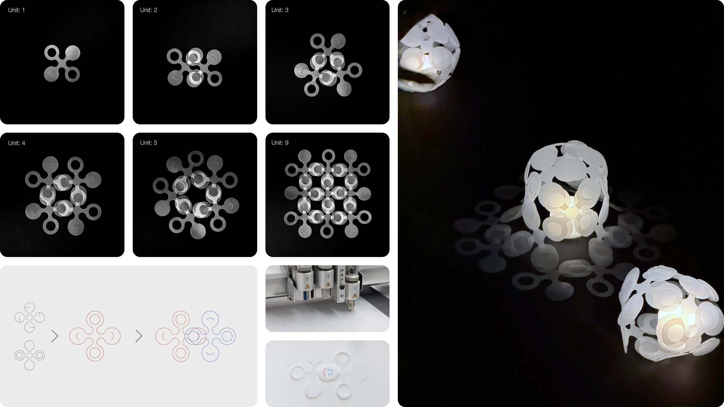 light scales_2.jpg