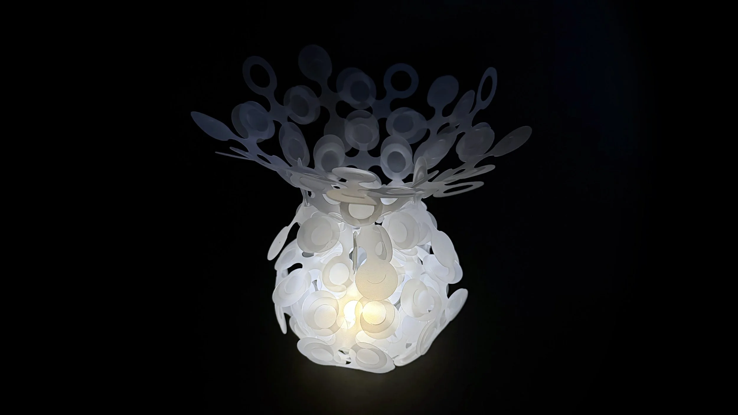 light scales_3.jpg
