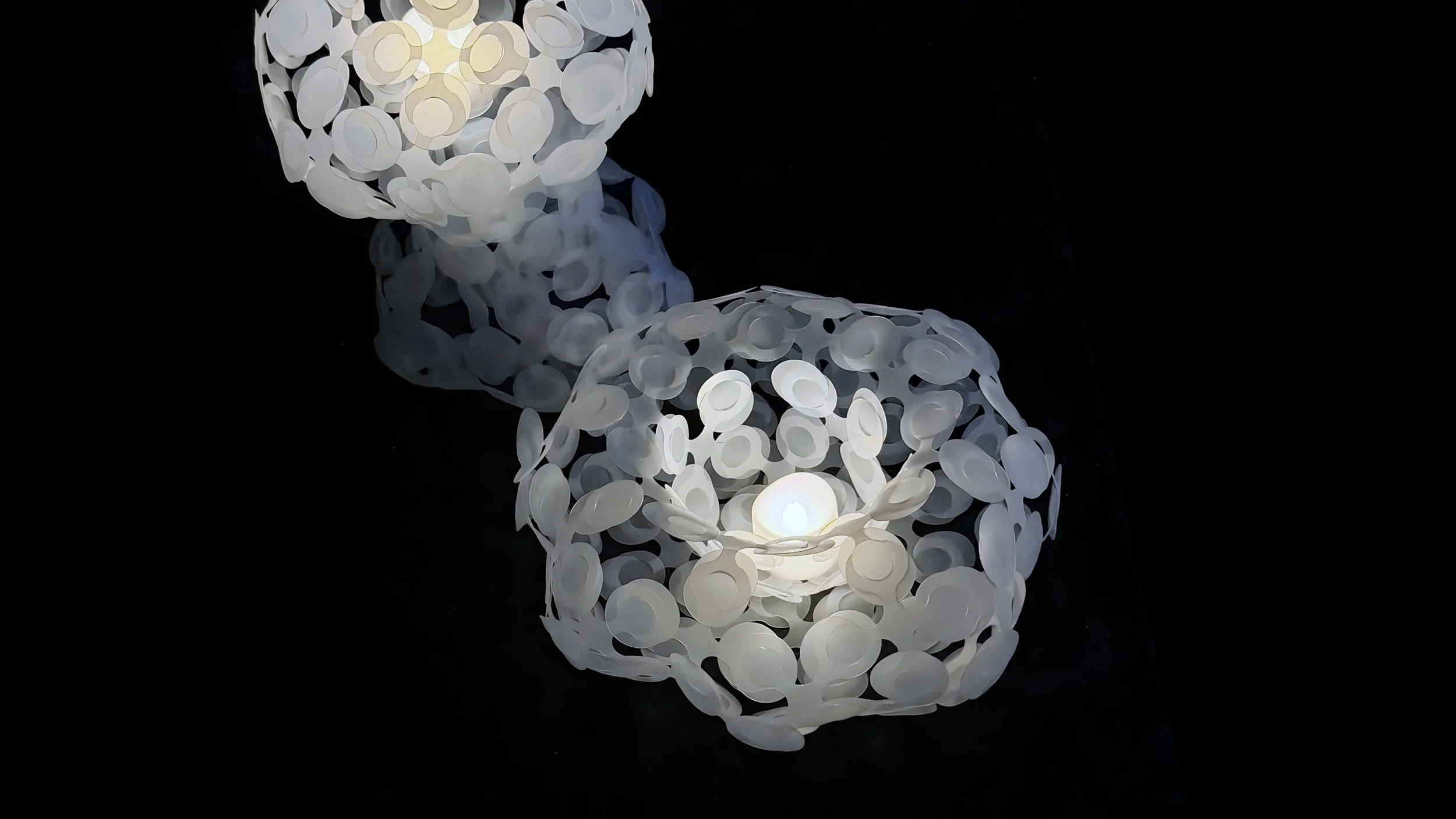 light scales_6.jpg