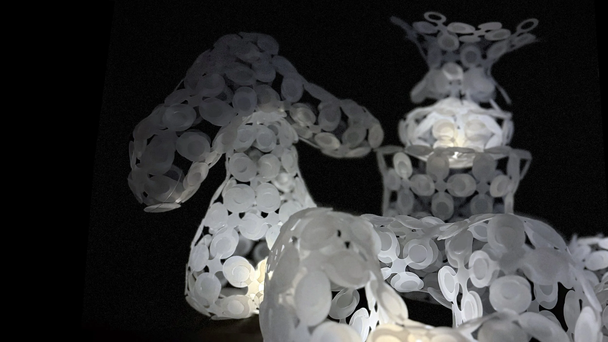 light scales_7.jpg