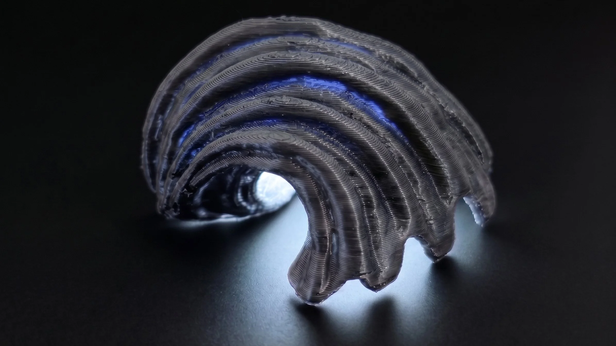 echoshell_6.jpg