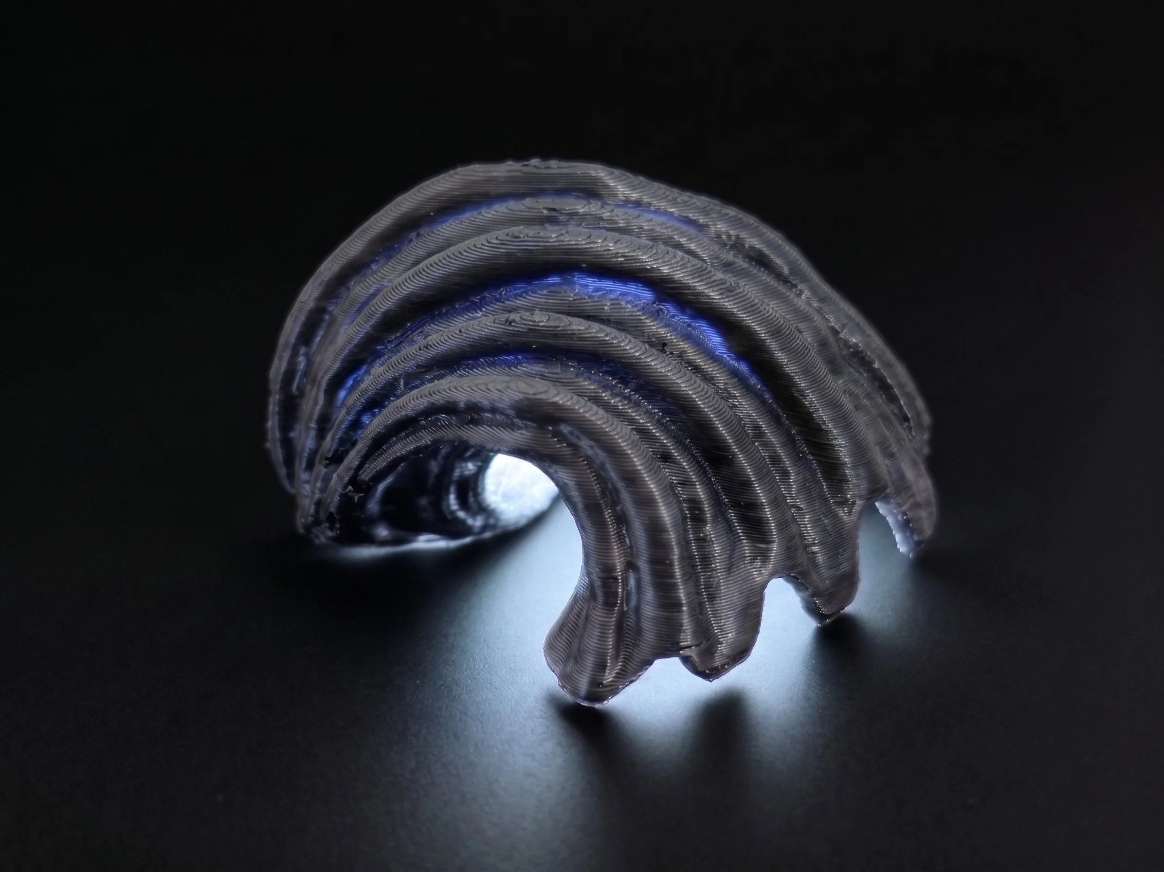 EchoShell