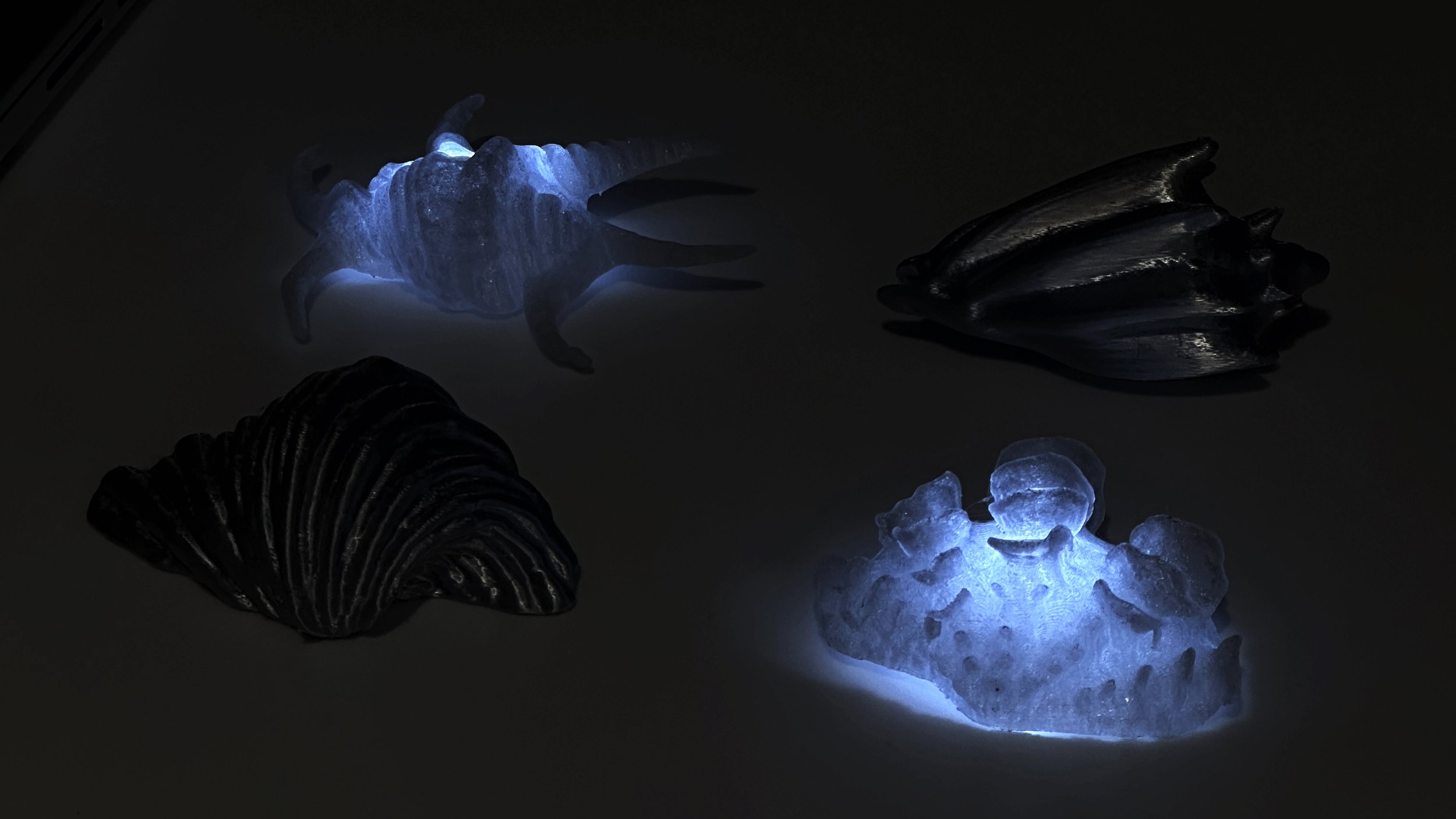 echoshell_4.jpg