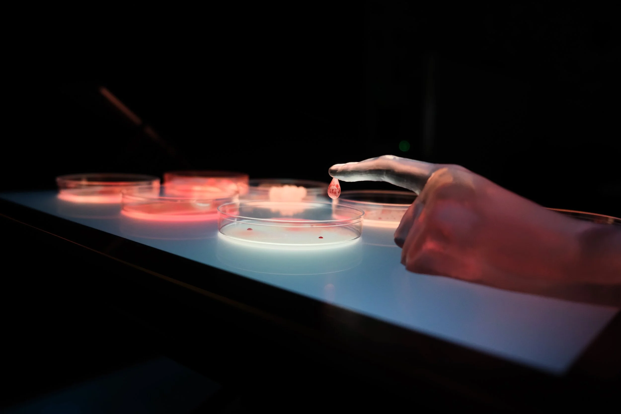 nanoscopia1_5.jpg
