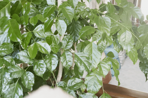 interactive experience with body movement_1.gif