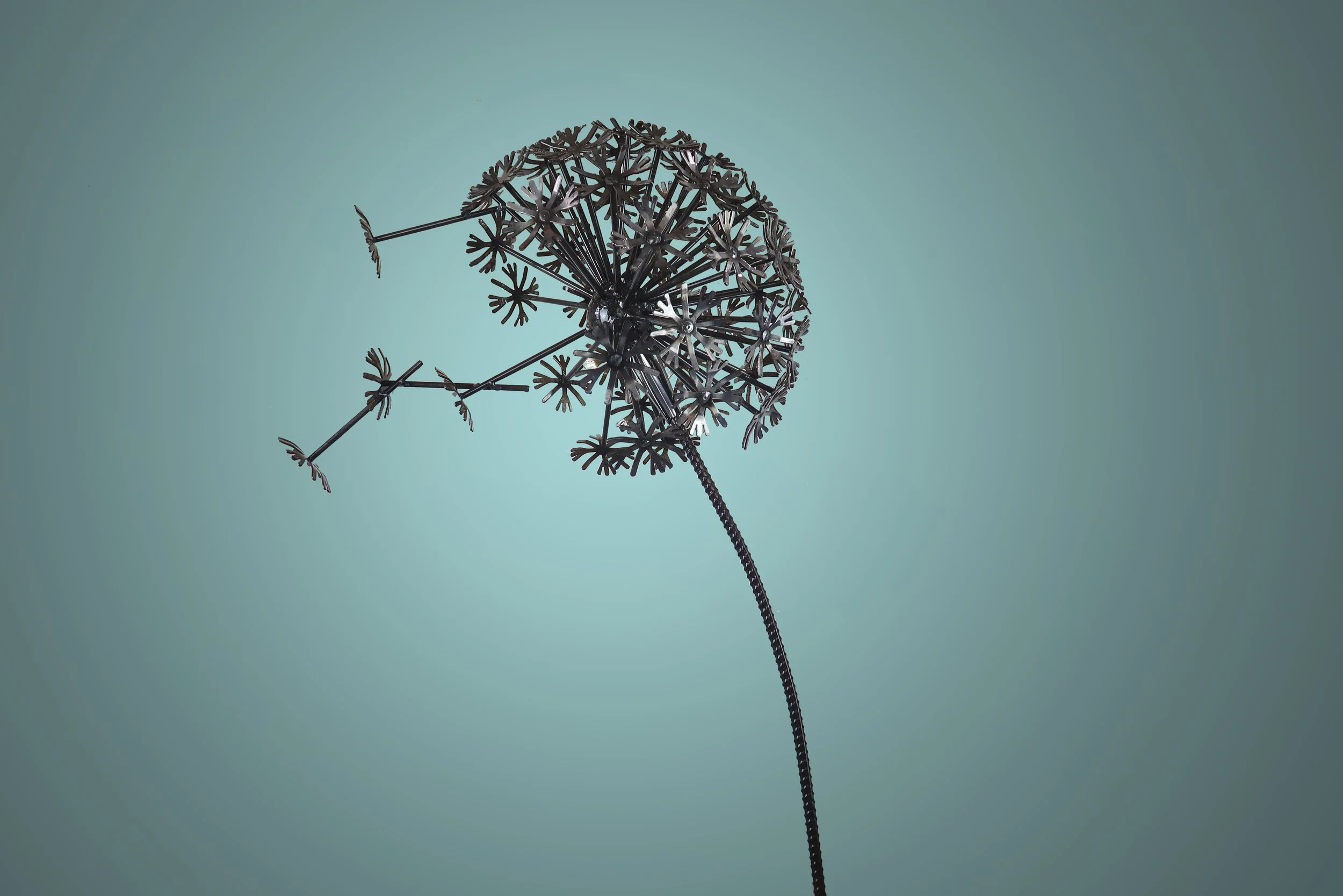 A metal dandelion in the wind, one of my most popular sculptures these are around 2 metres tall with a rebar stem.