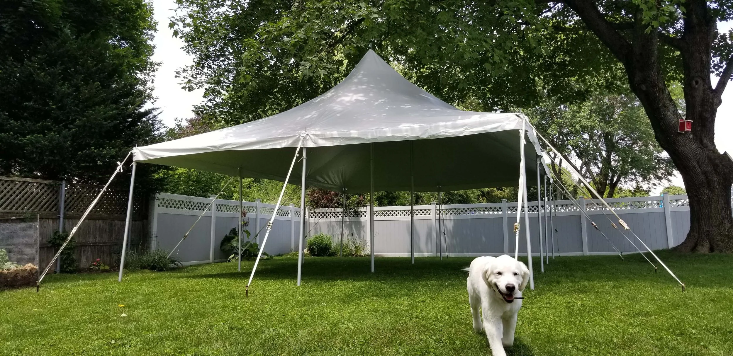 Party Rentals in Medfield, MA