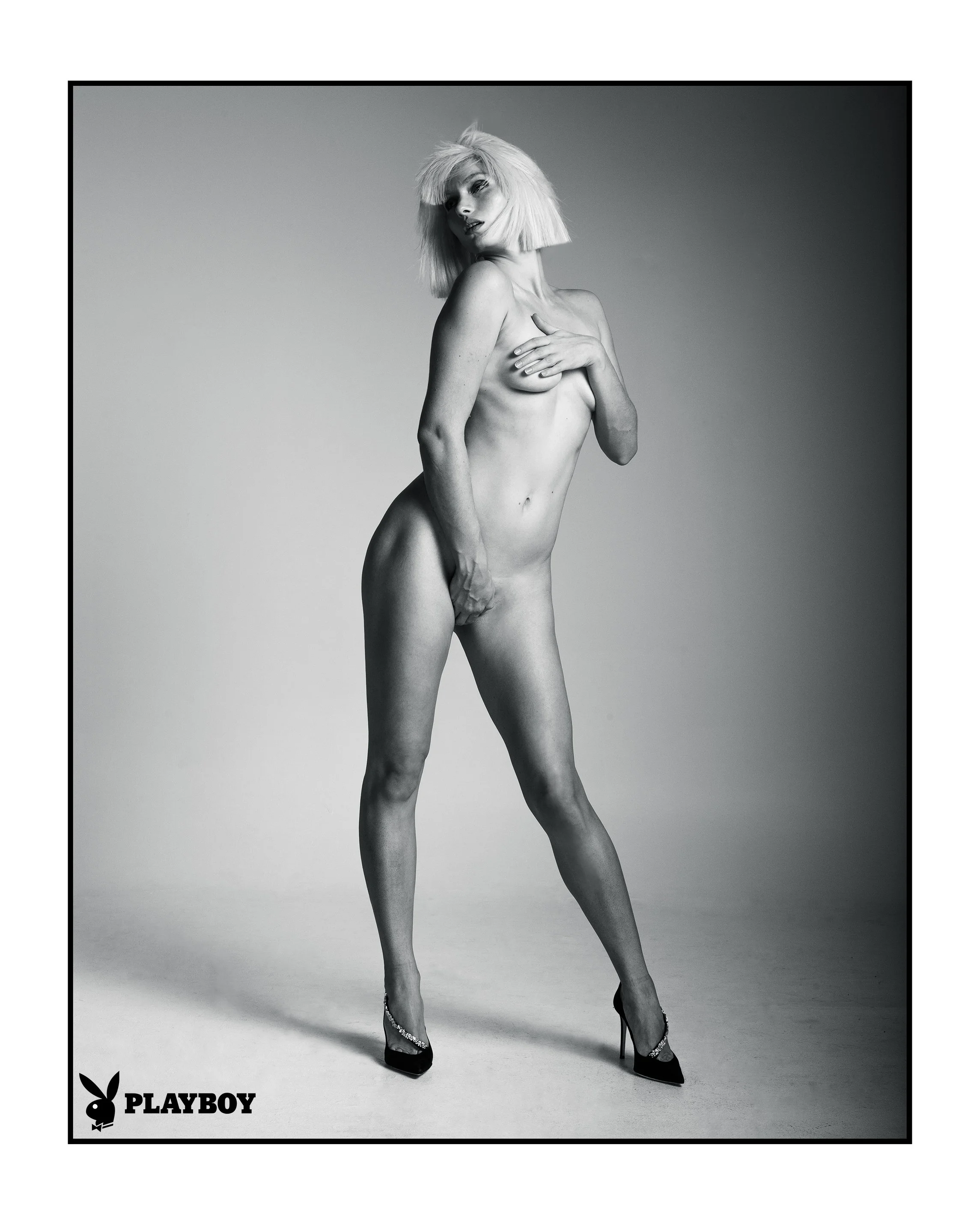 Plyboy NL04773-Editborderlogo.jpg