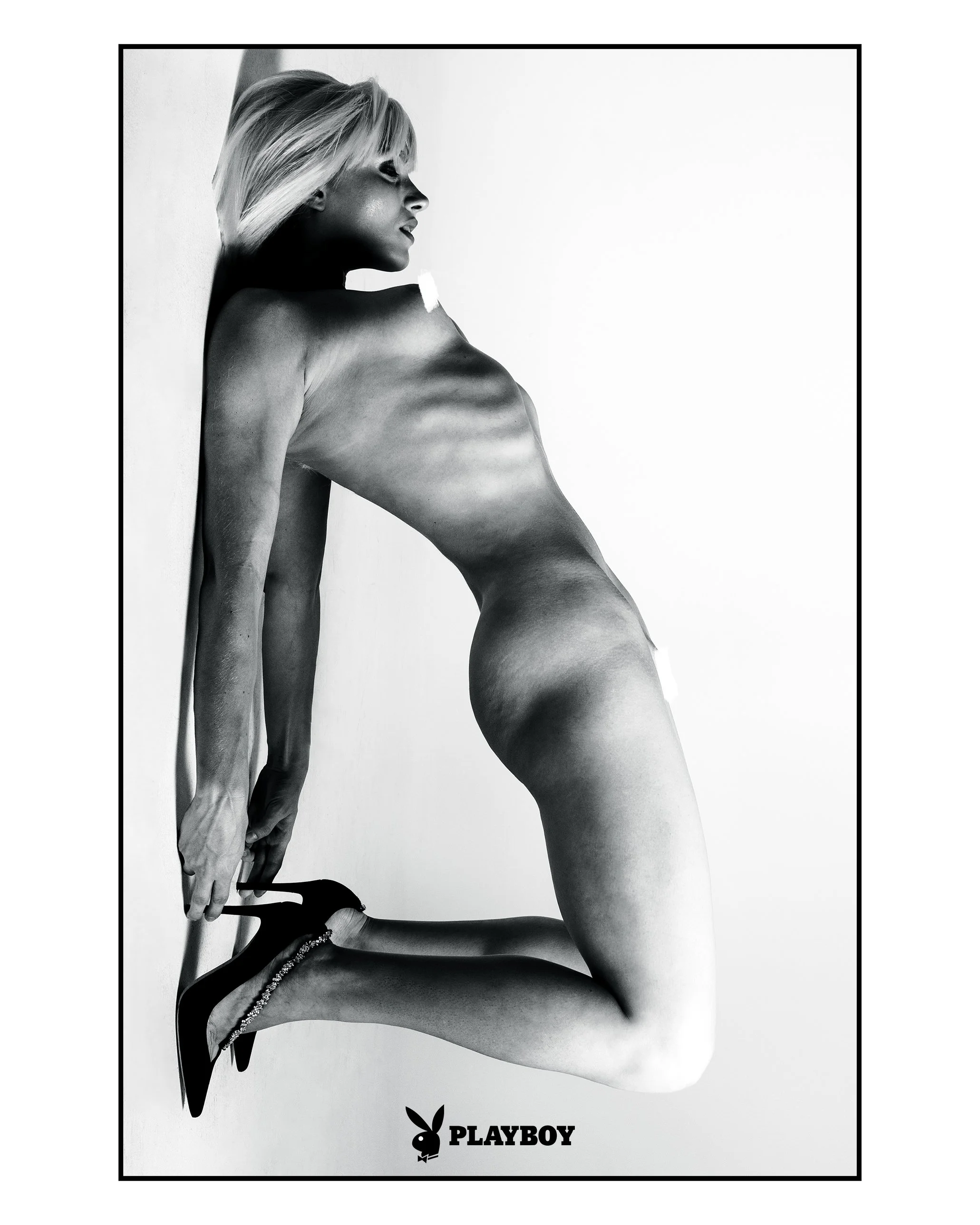 Plyboy NL04703-Editcroplogo.jpg