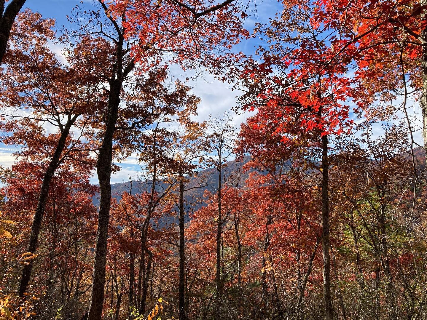 The beauty this fall is simply breathtaking.