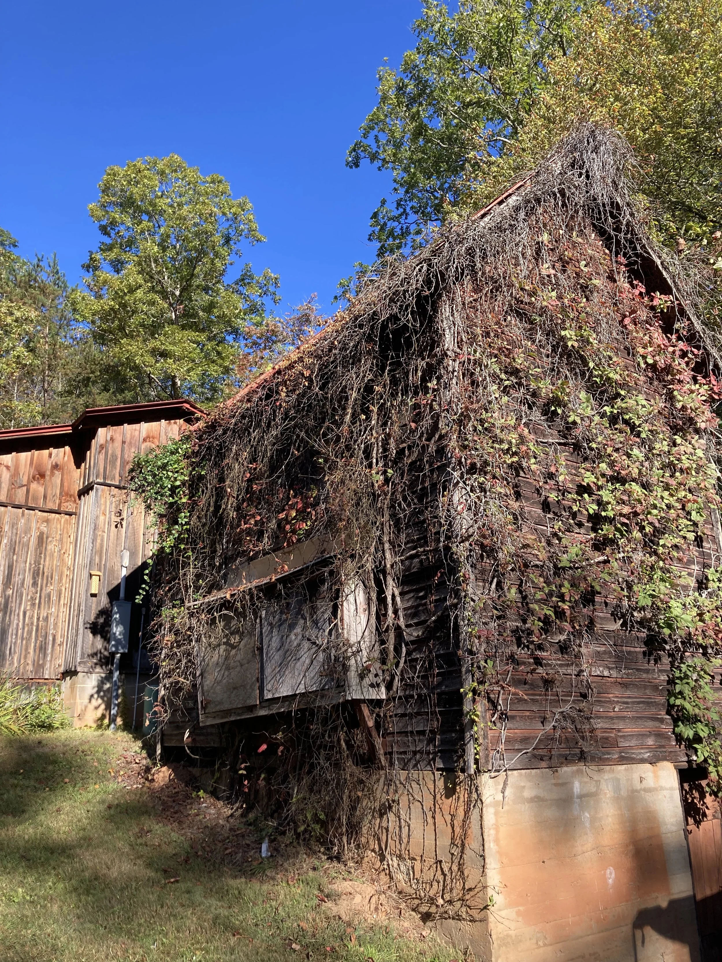 John C. Campbell Folk School Fall Festival