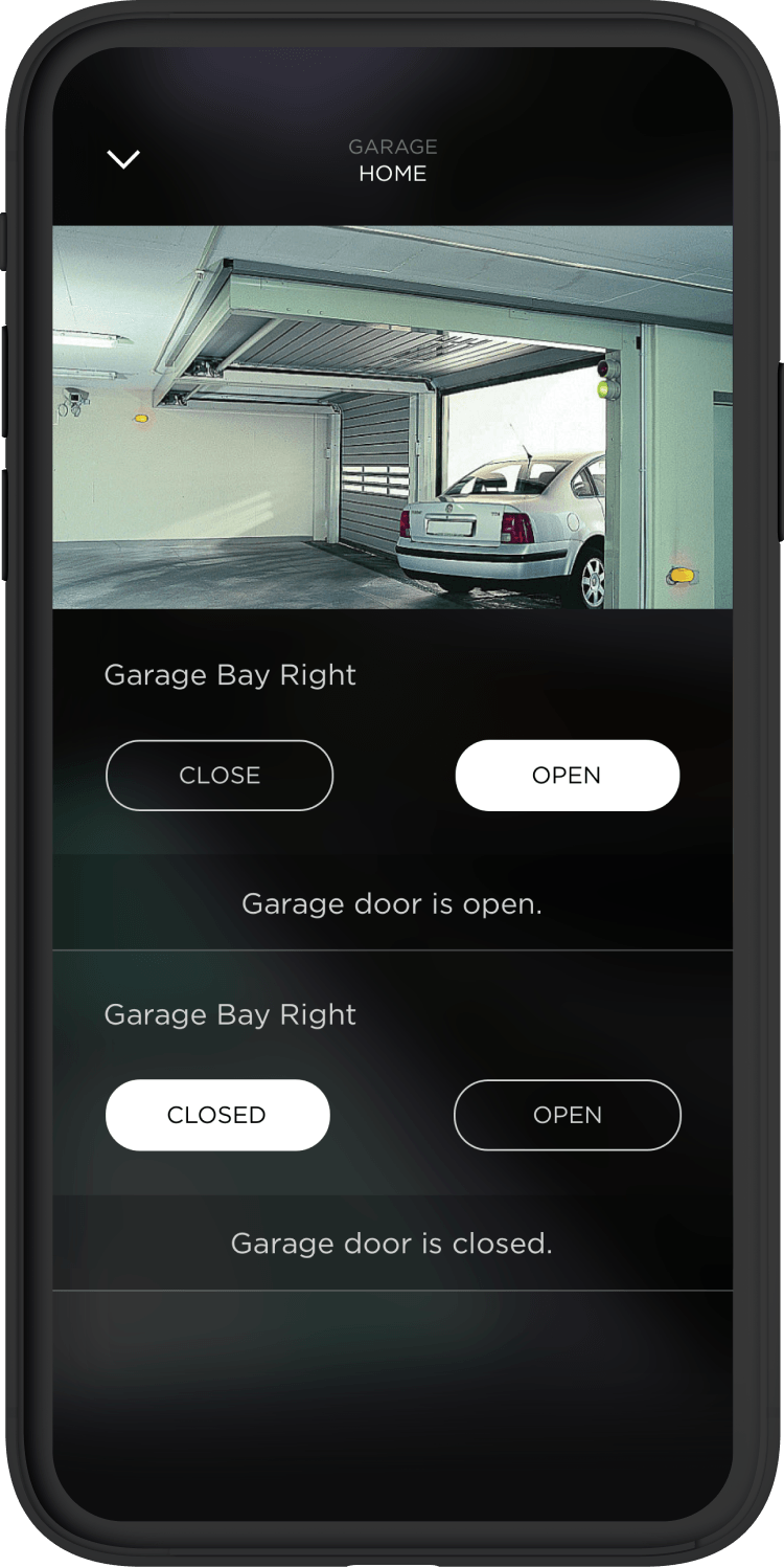 Savant Pro app showing the entry page