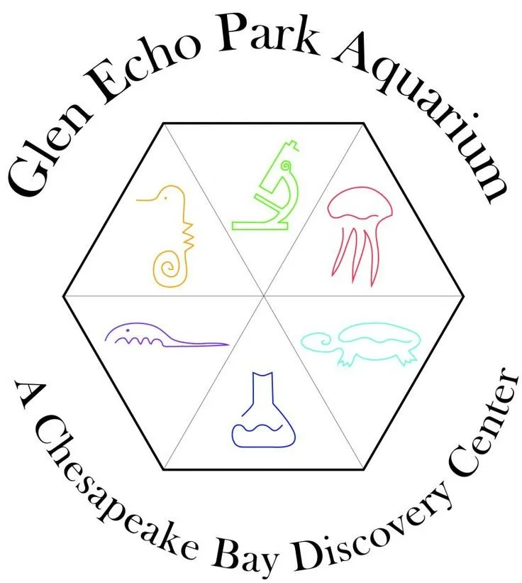 About — Glen Echo Park Aquarium