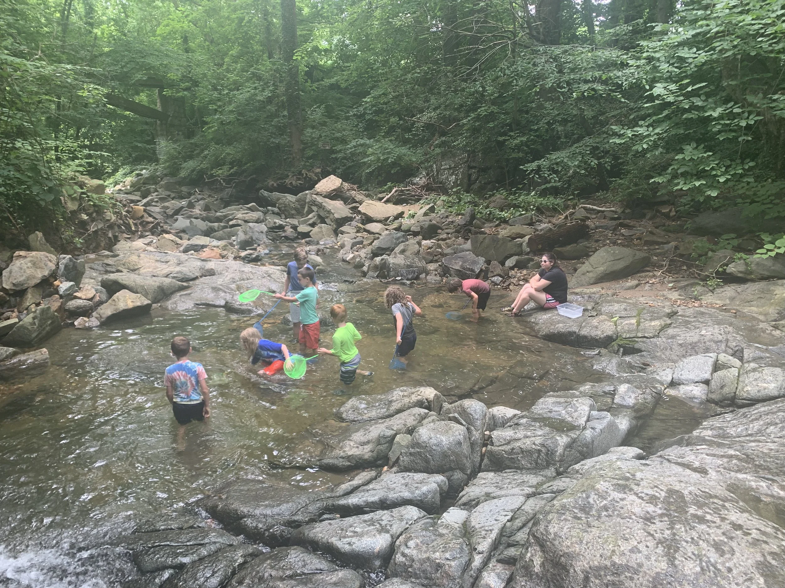 Summer Camps — Glen Echo Park Aquarium