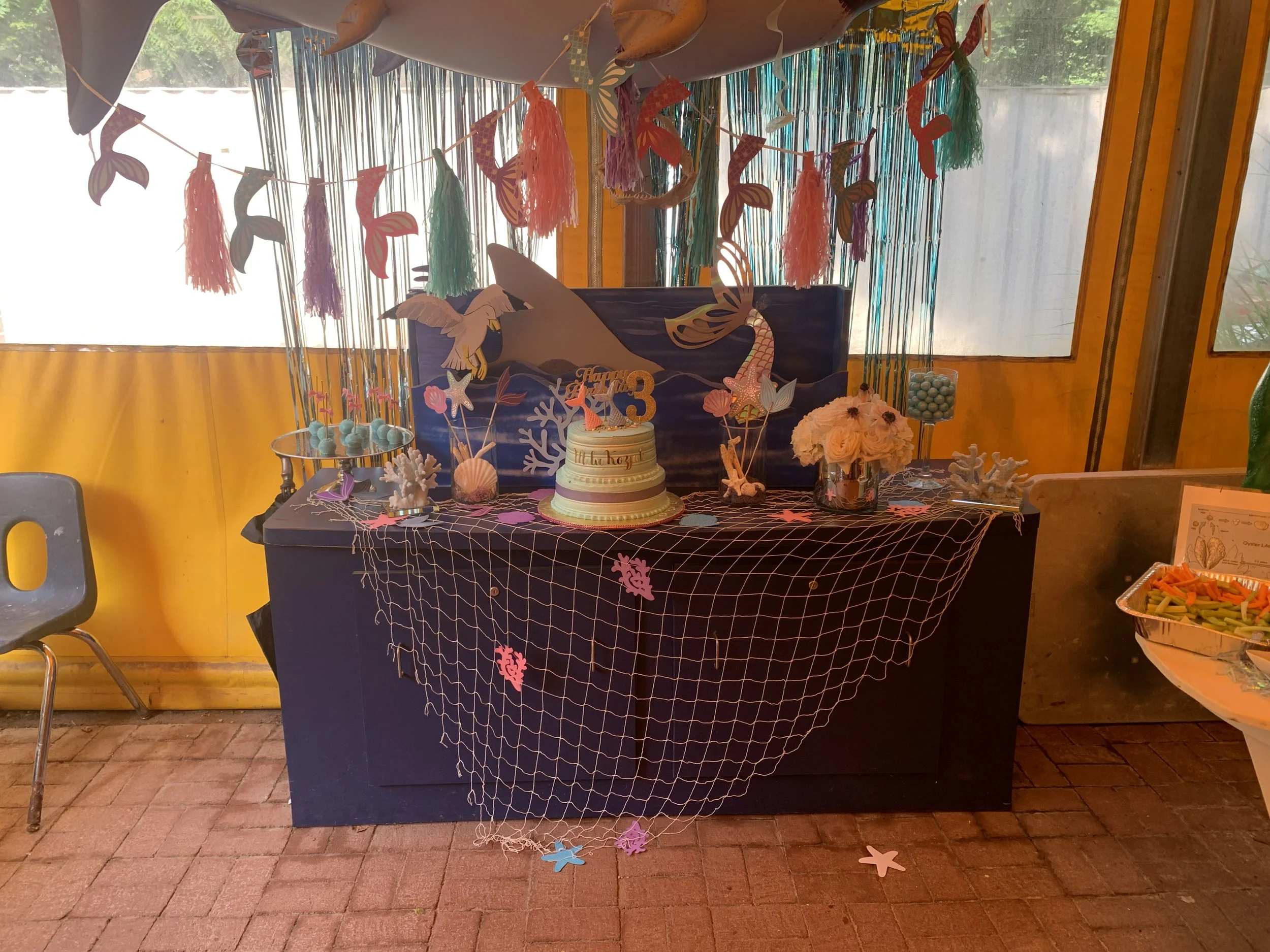 Services 1 — Glen Echo Park Aquarium