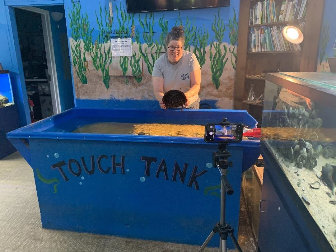 Education — Glen Echo Park Aquarium