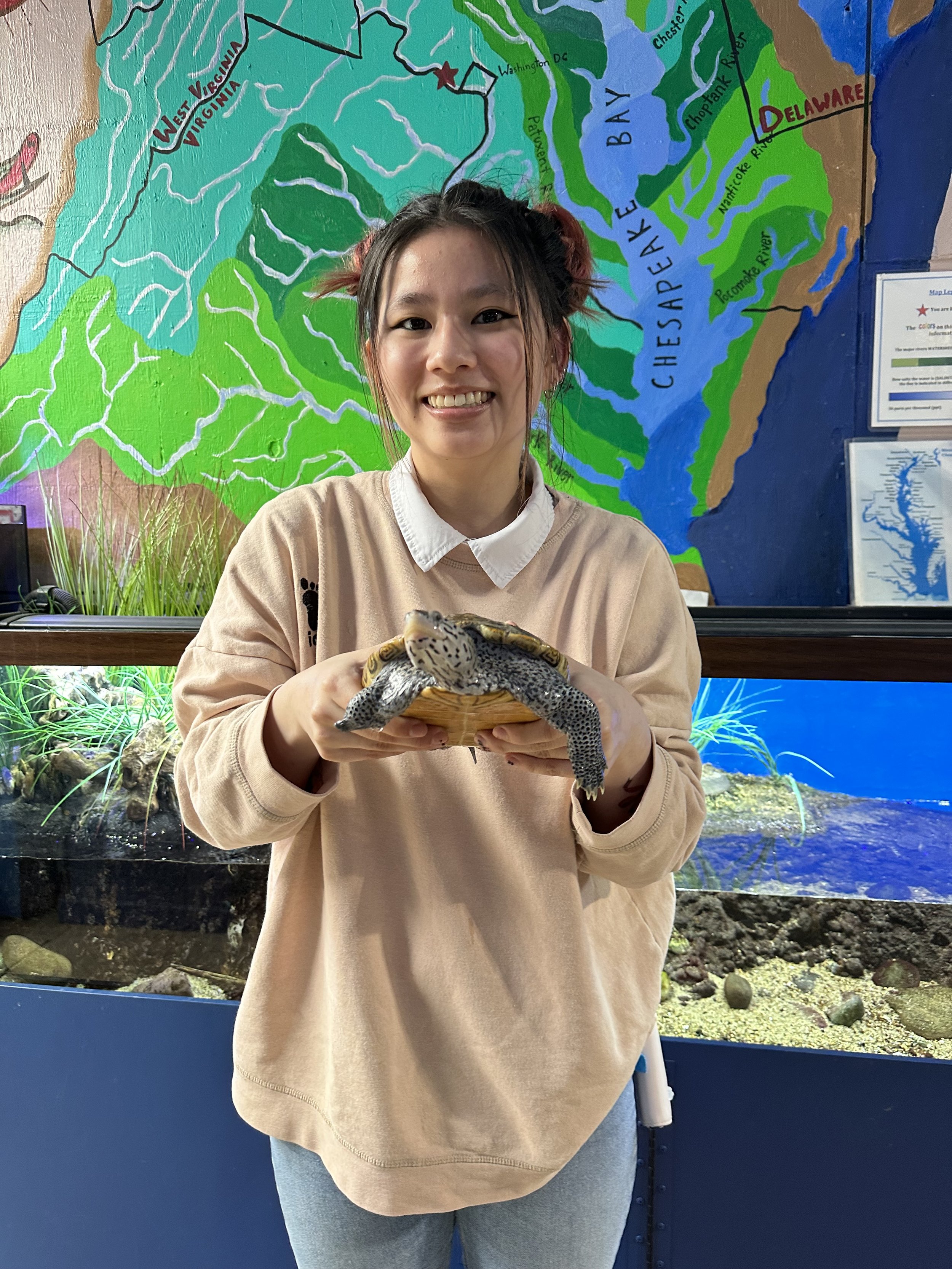 About — Glen Echo Park Aquarium