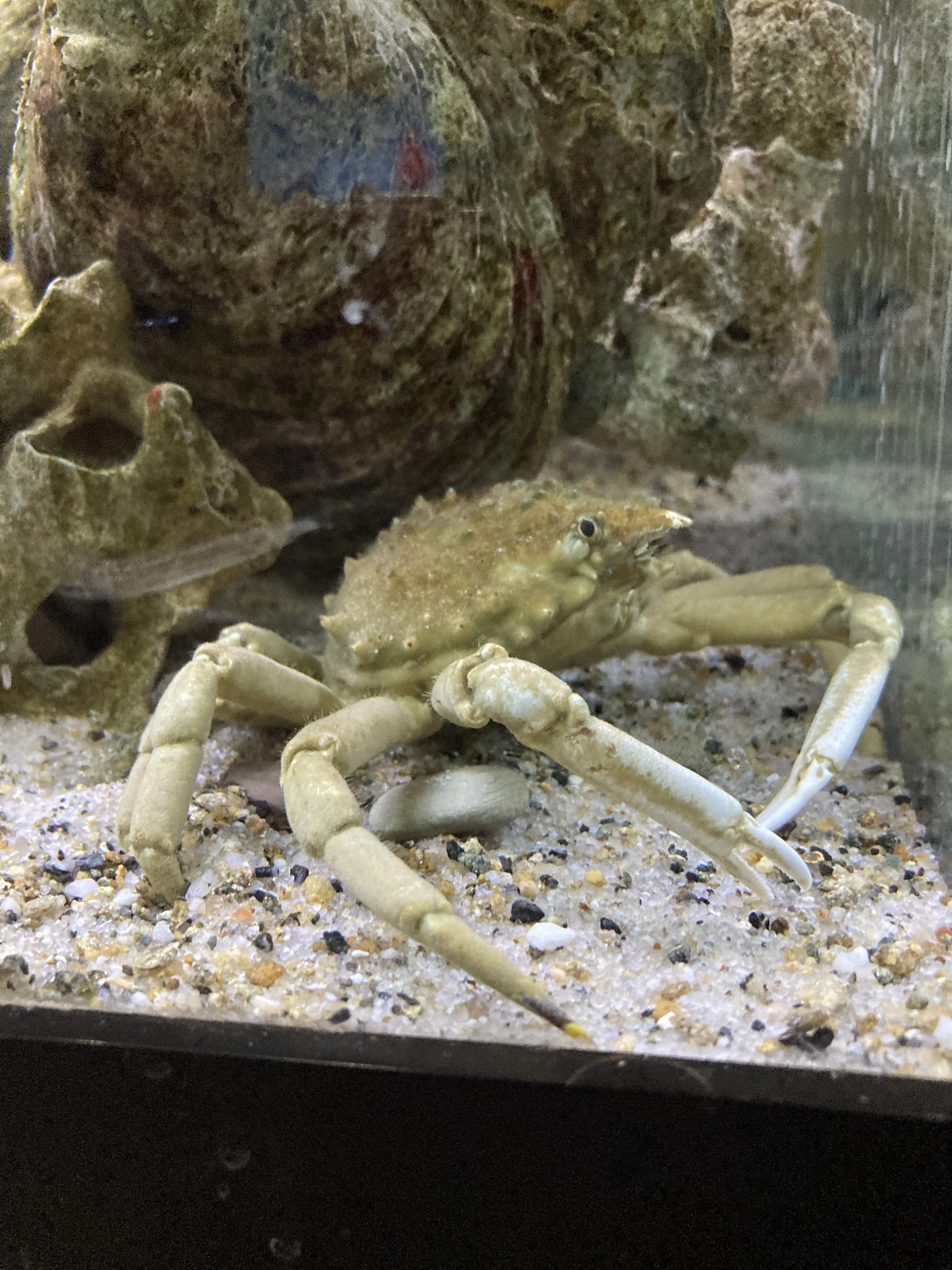 Classes Glen Echo Park Aquarium Classes Glen Echo Park Aquarium