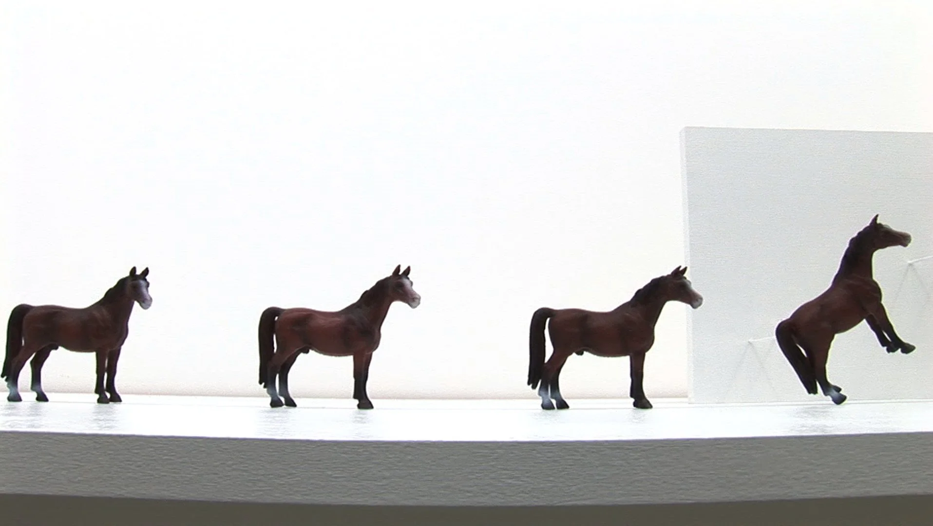 horse4_1.jpg