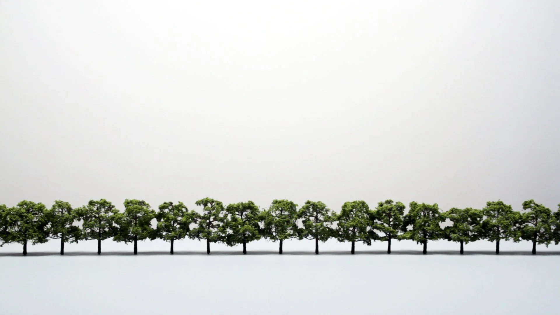 TREE / LINE (2014) 5'40"