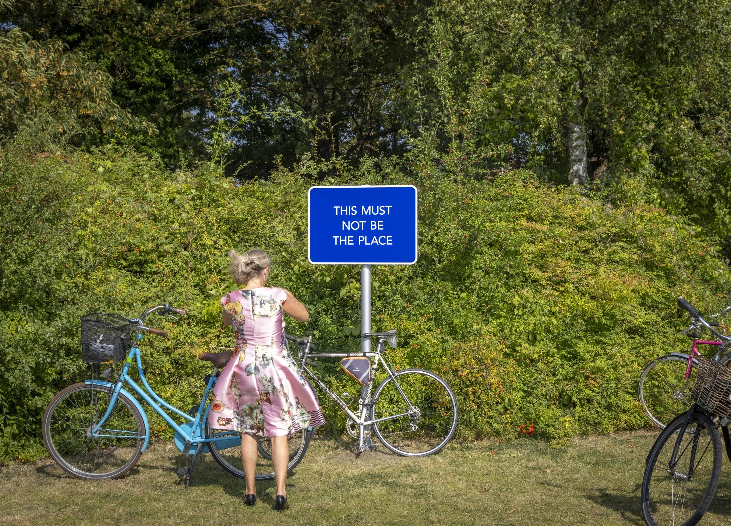 12 SIGNS FOR A PARK (2024) - 12 powered coated aluminium signs, vinyl  - click image for more