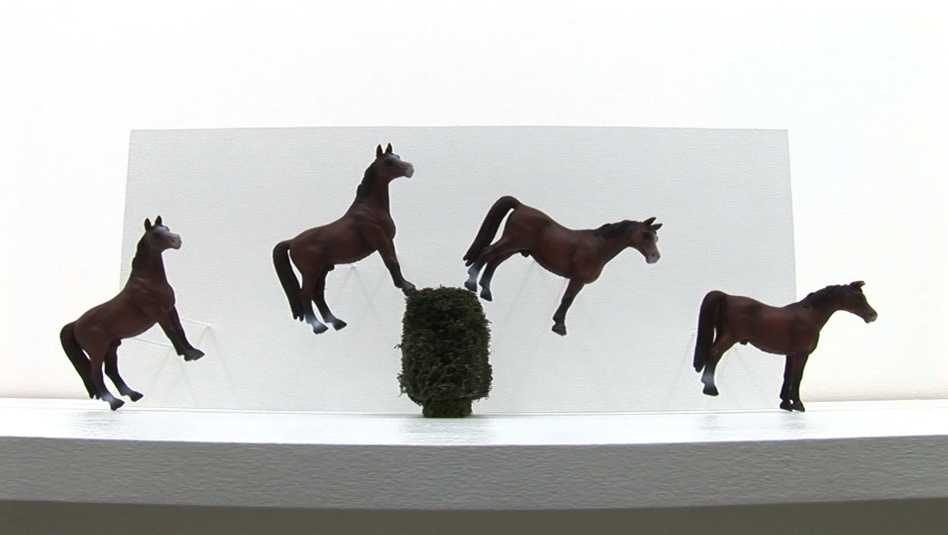 horse7_1.jpg