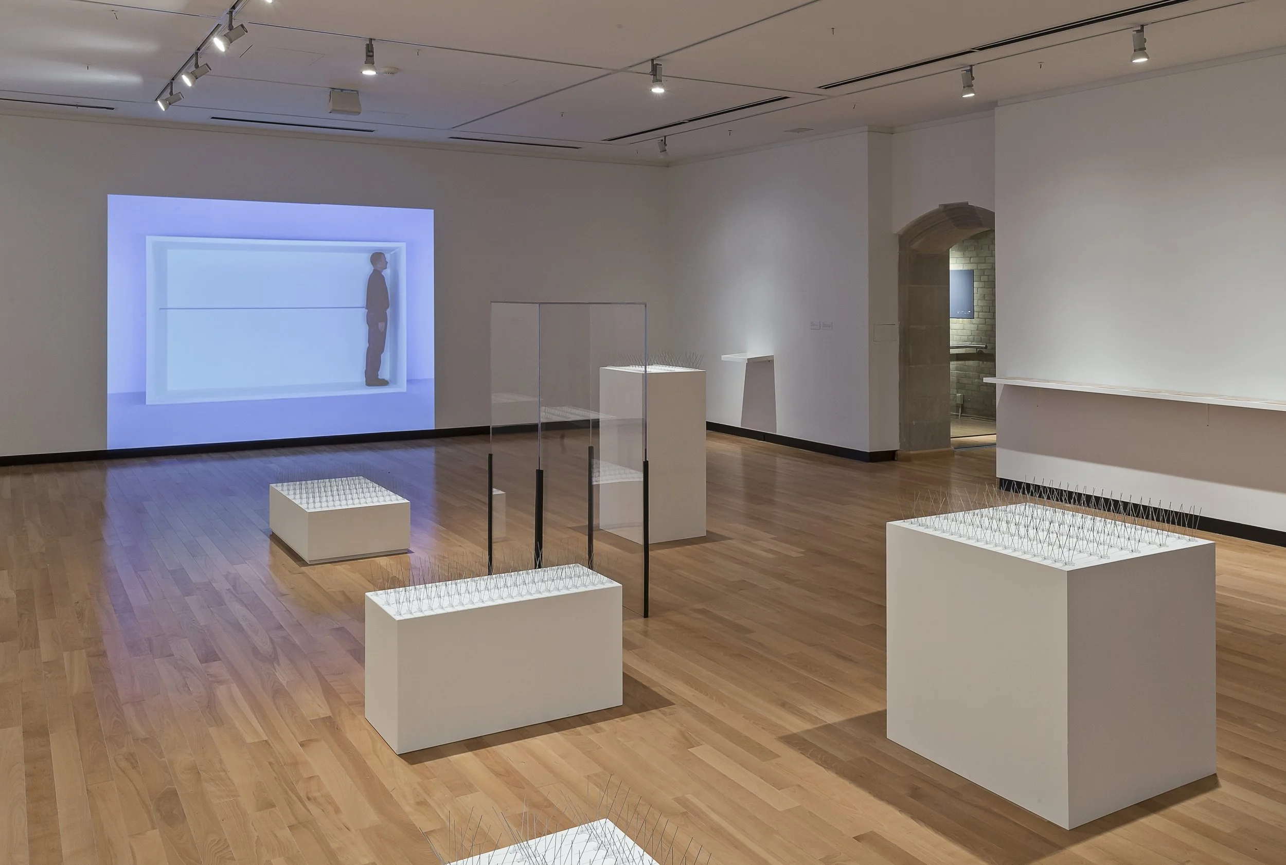 GROUP - Why Can’t Minimal - Justina M. Barnicke Gallery, Toronto - 2014