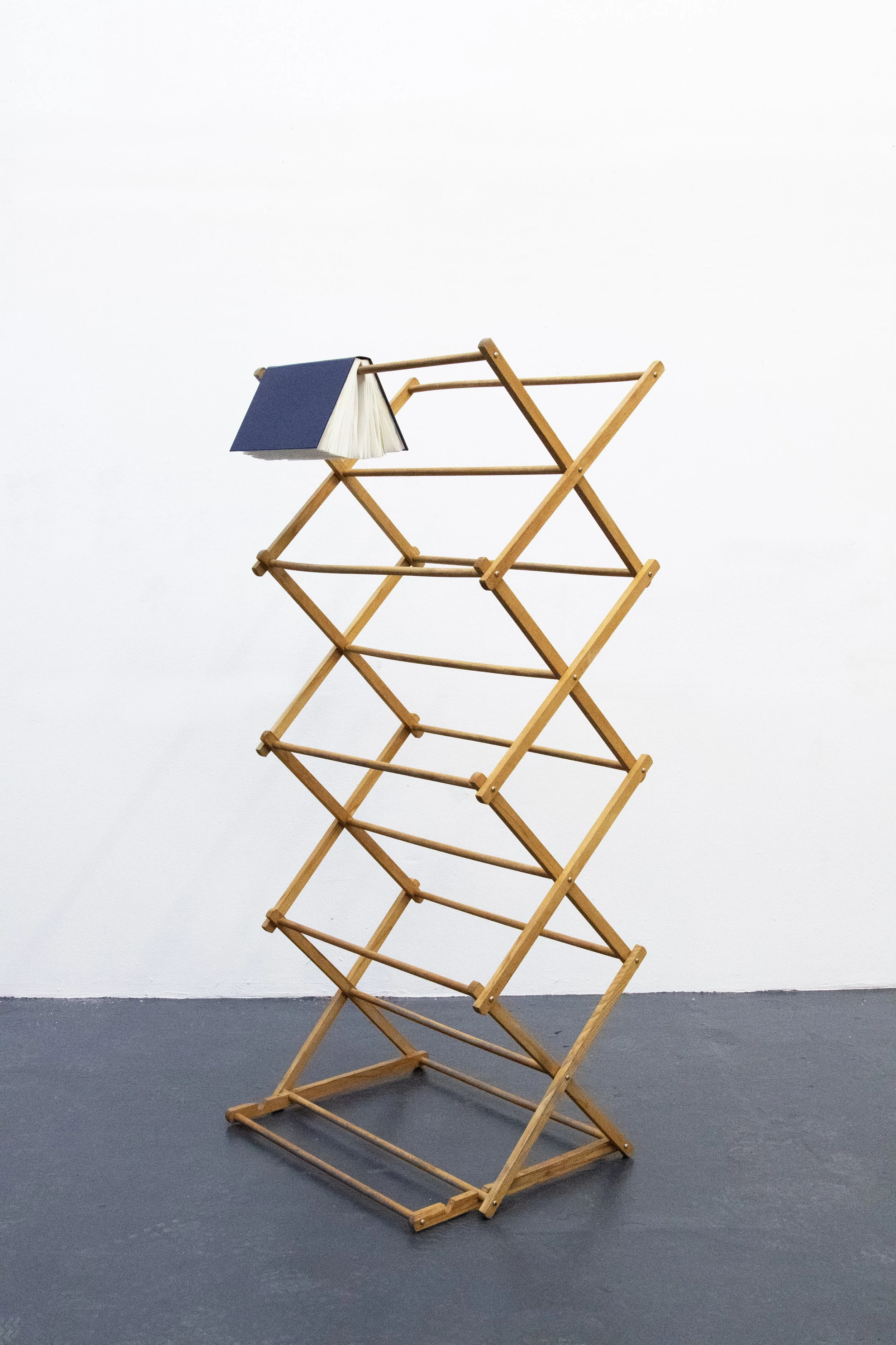THE SENSE OF AN ENDING (2025) - wooden clothes drier, book