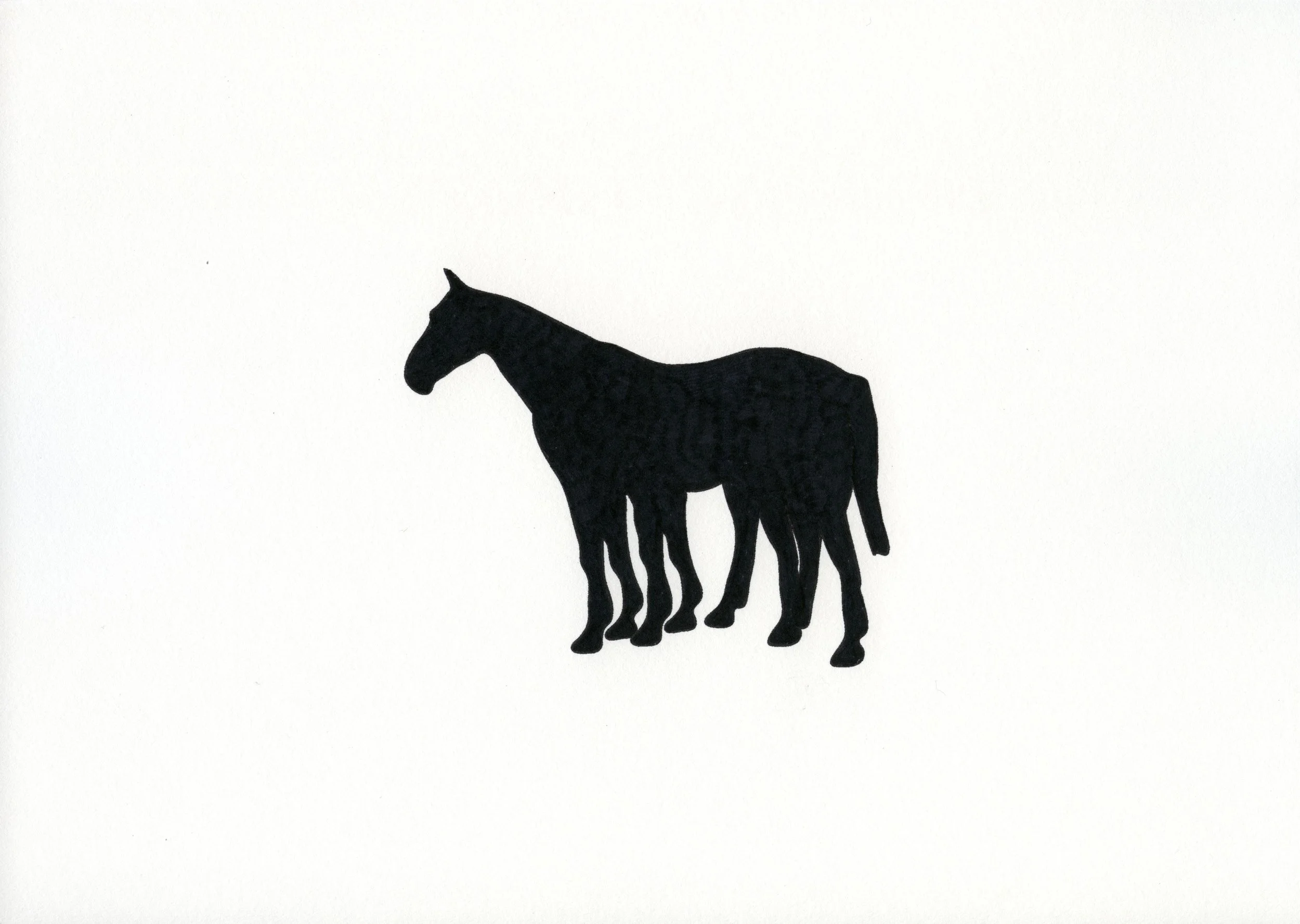 2 Horses - 2012