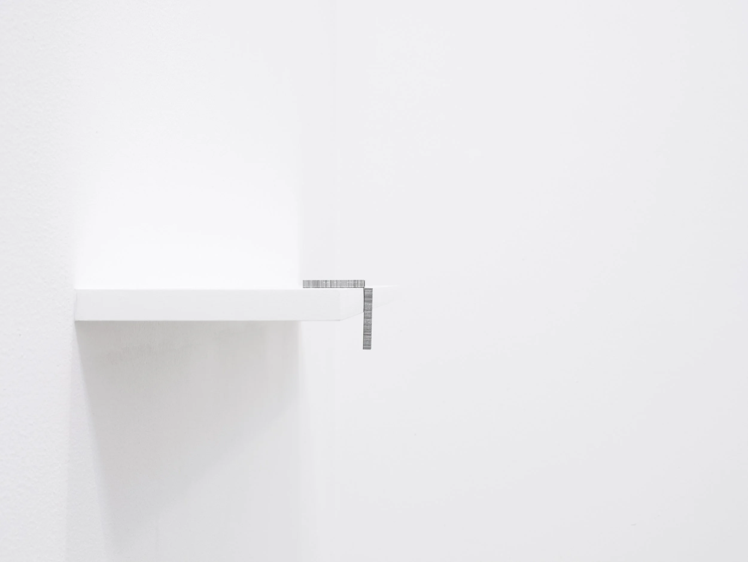 STAPLE/SHELF (2009) - metal staples, shelf