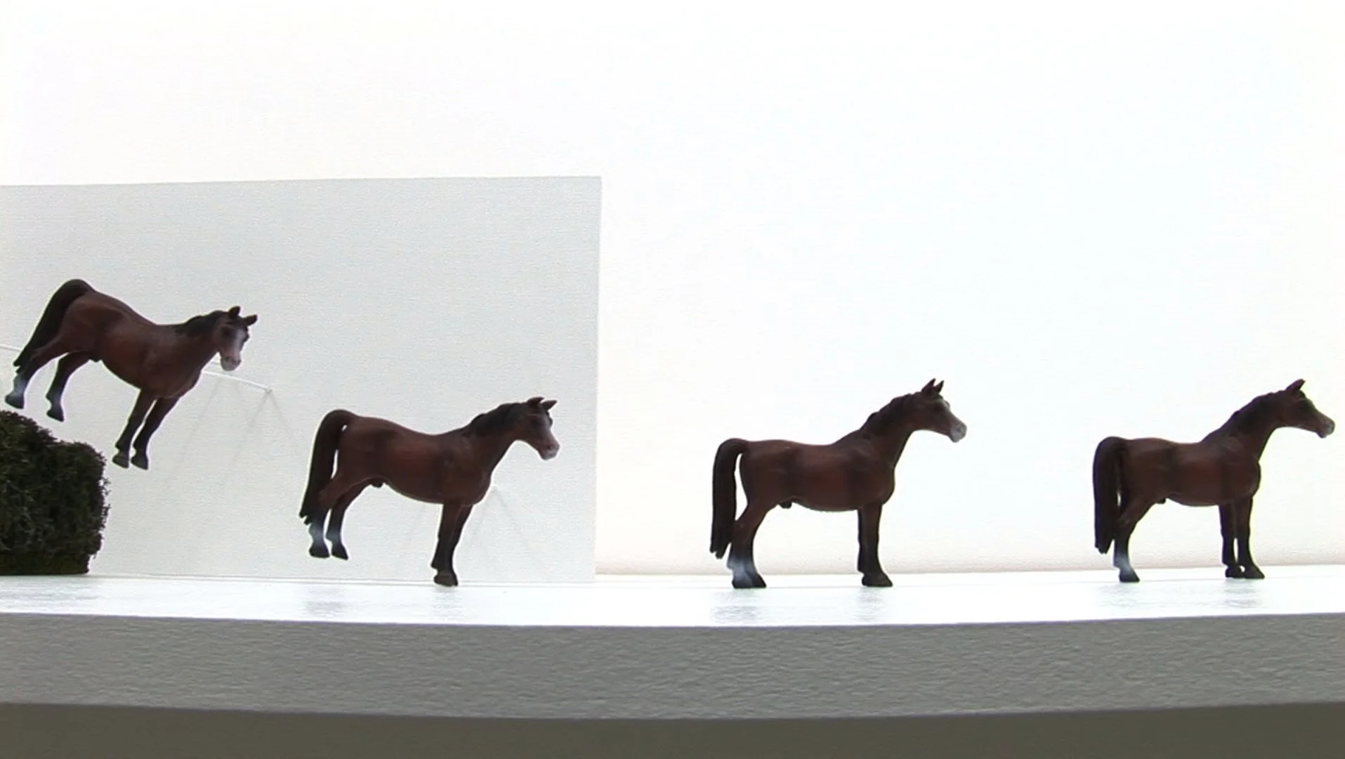horse9_1.jpg