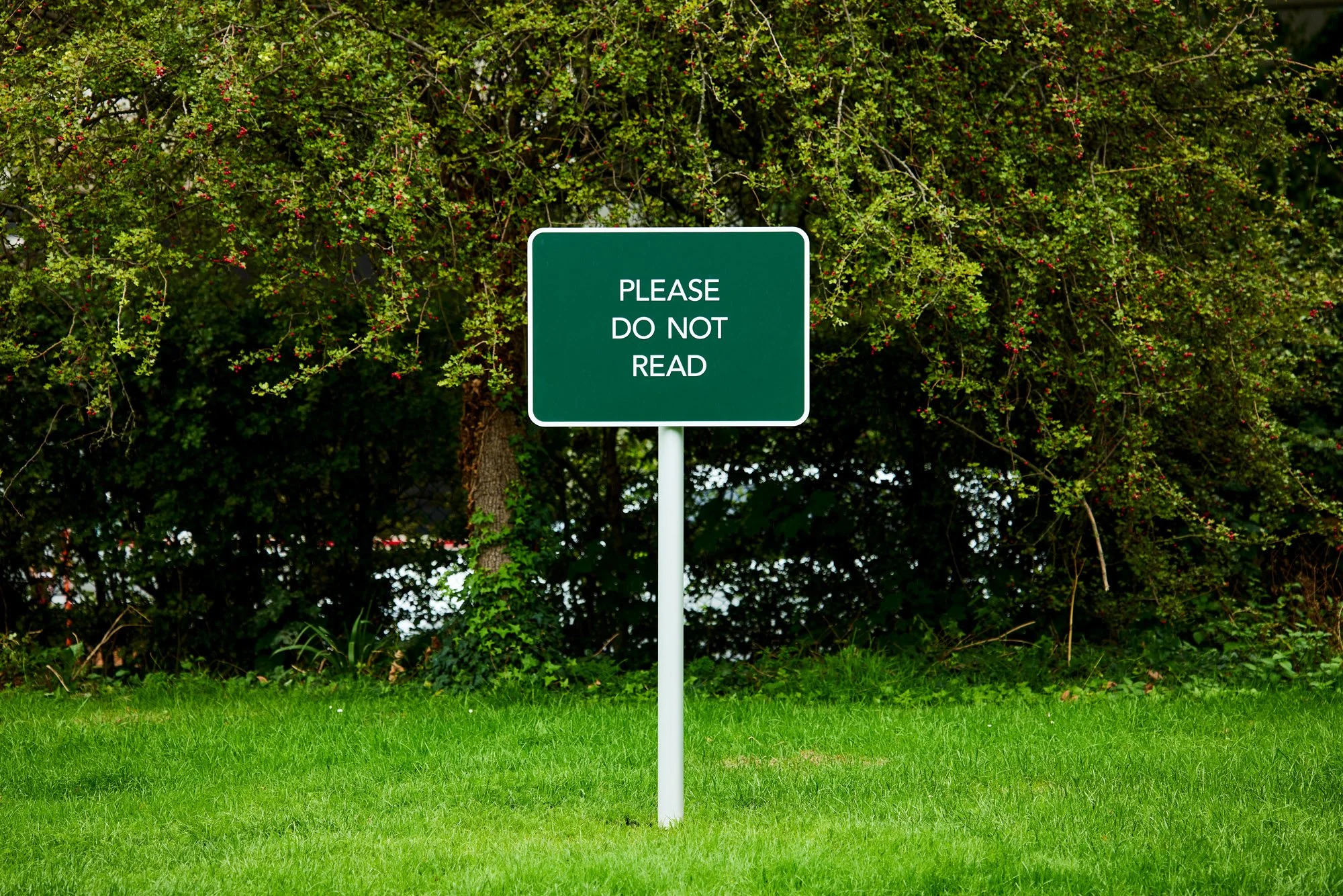 GVC_Low res_18.jpg