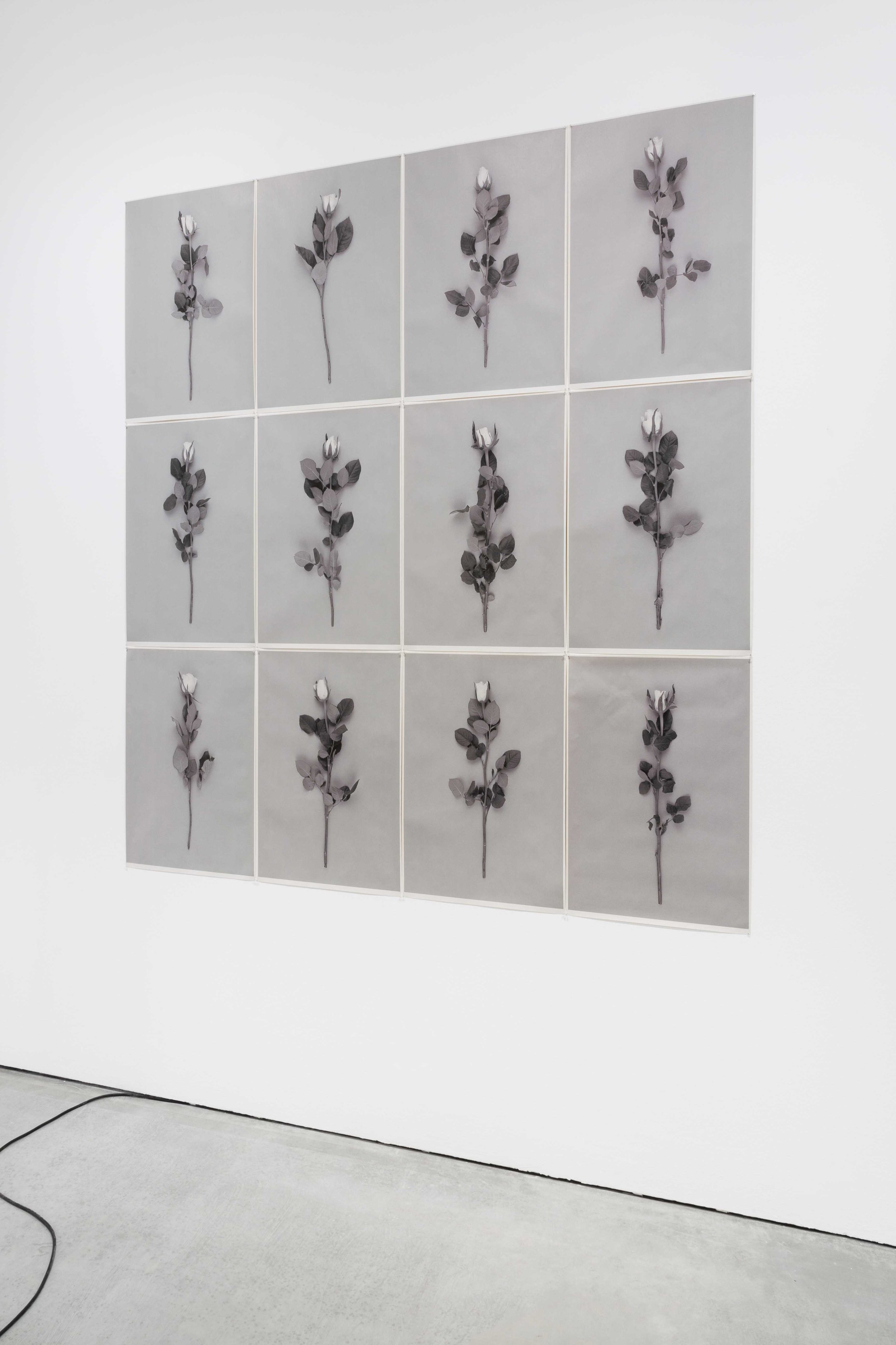 Gallery A.I.C sml-27.jpg