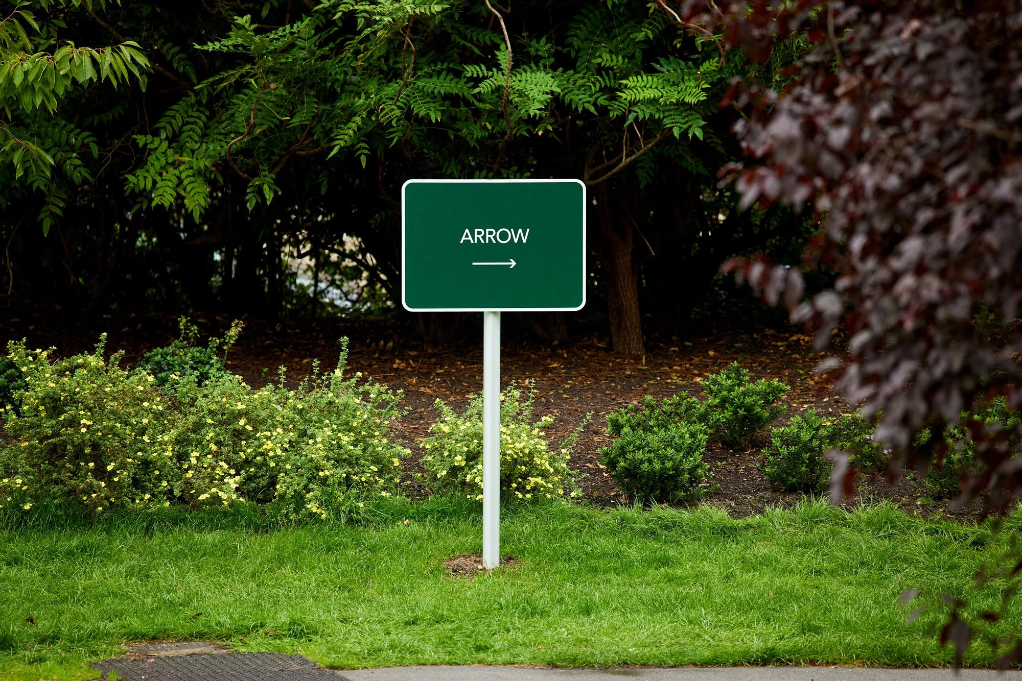 GVC_Low res_21.jpg
