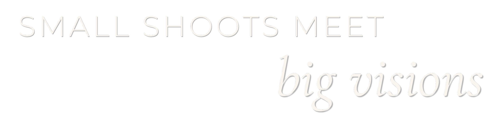 The image features text that reads "SMALL SHOOTS MEET big visions" on a black and white background.