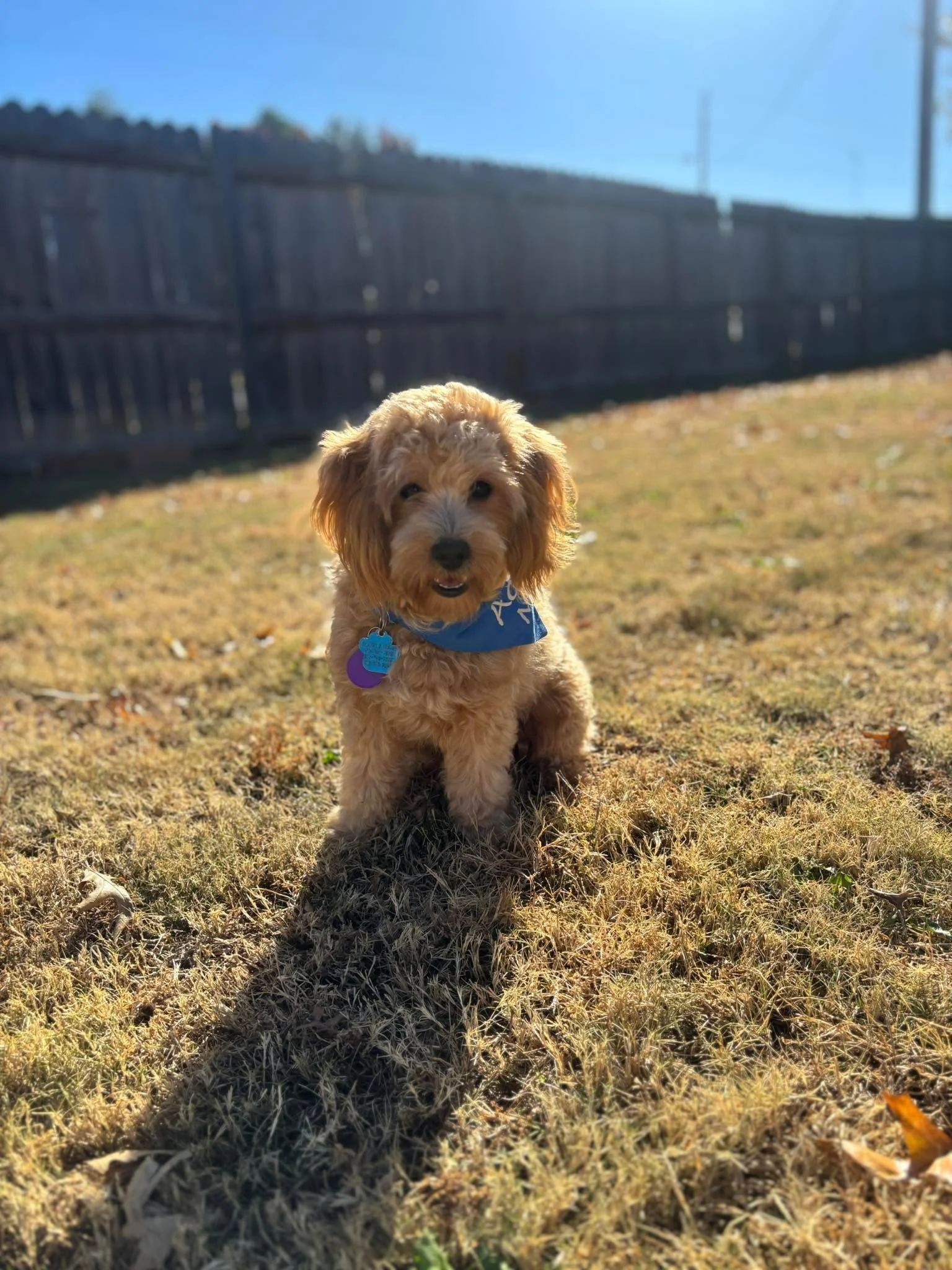 For the first time ever, I&rsquo;ll be performing at the International Saxophone Symposium in January in D.C.! Friends, let&rsquo;s connect if you&rsquo;ll be there!