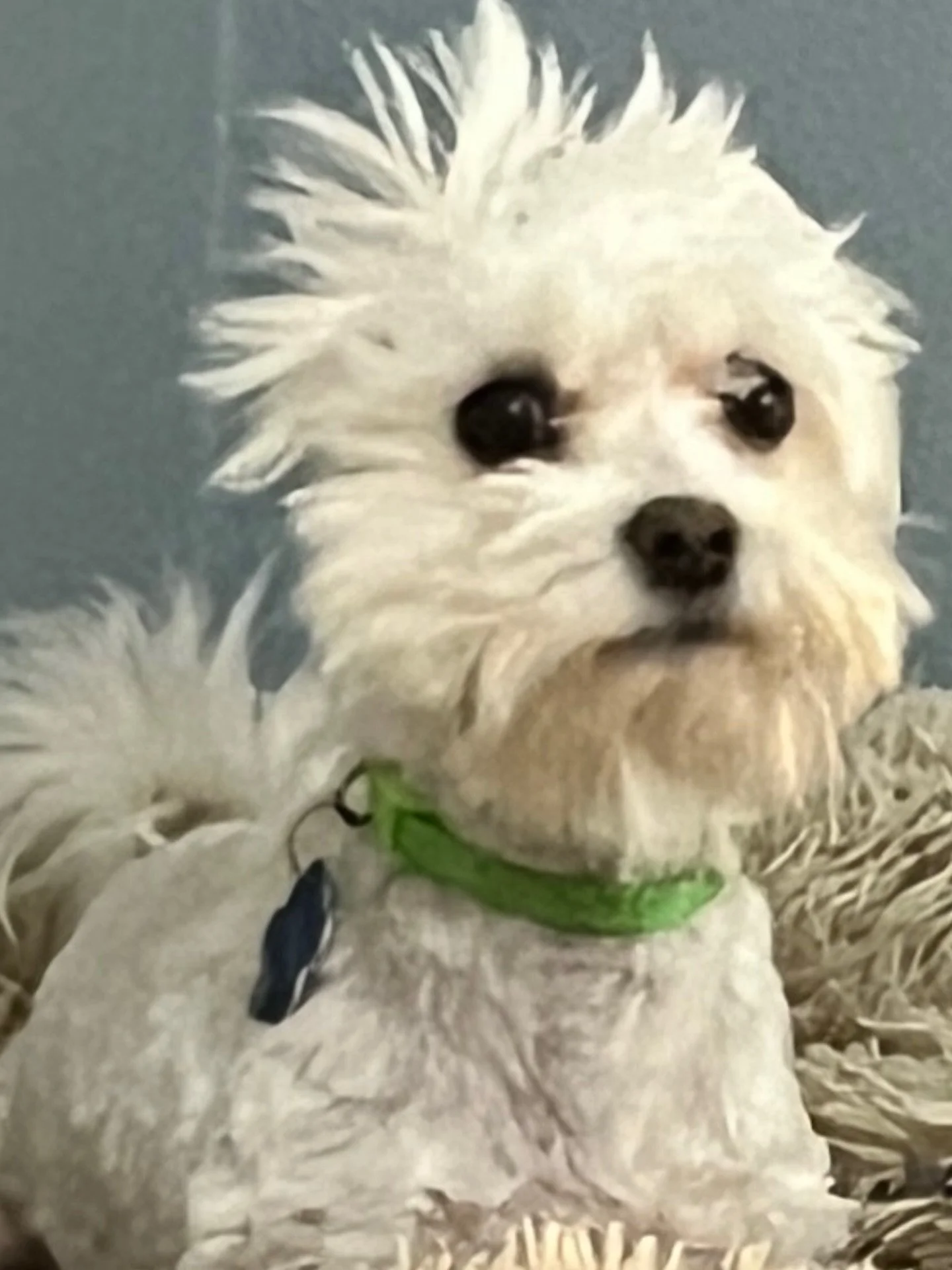 Me when people ask what time of the semester it is. This is the time of the semester. But those don&rsquo;t sow never reap so we keep going!