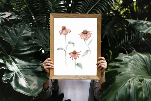 Three Coneflowers by Kate Yarter - Painted Watercolor Coneflowers Art Print