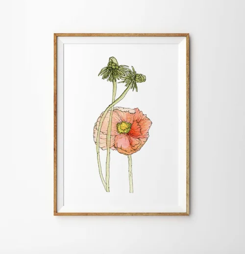 Little Poppy by Kate Yarter - Watercolor Poppy Flower Art Print