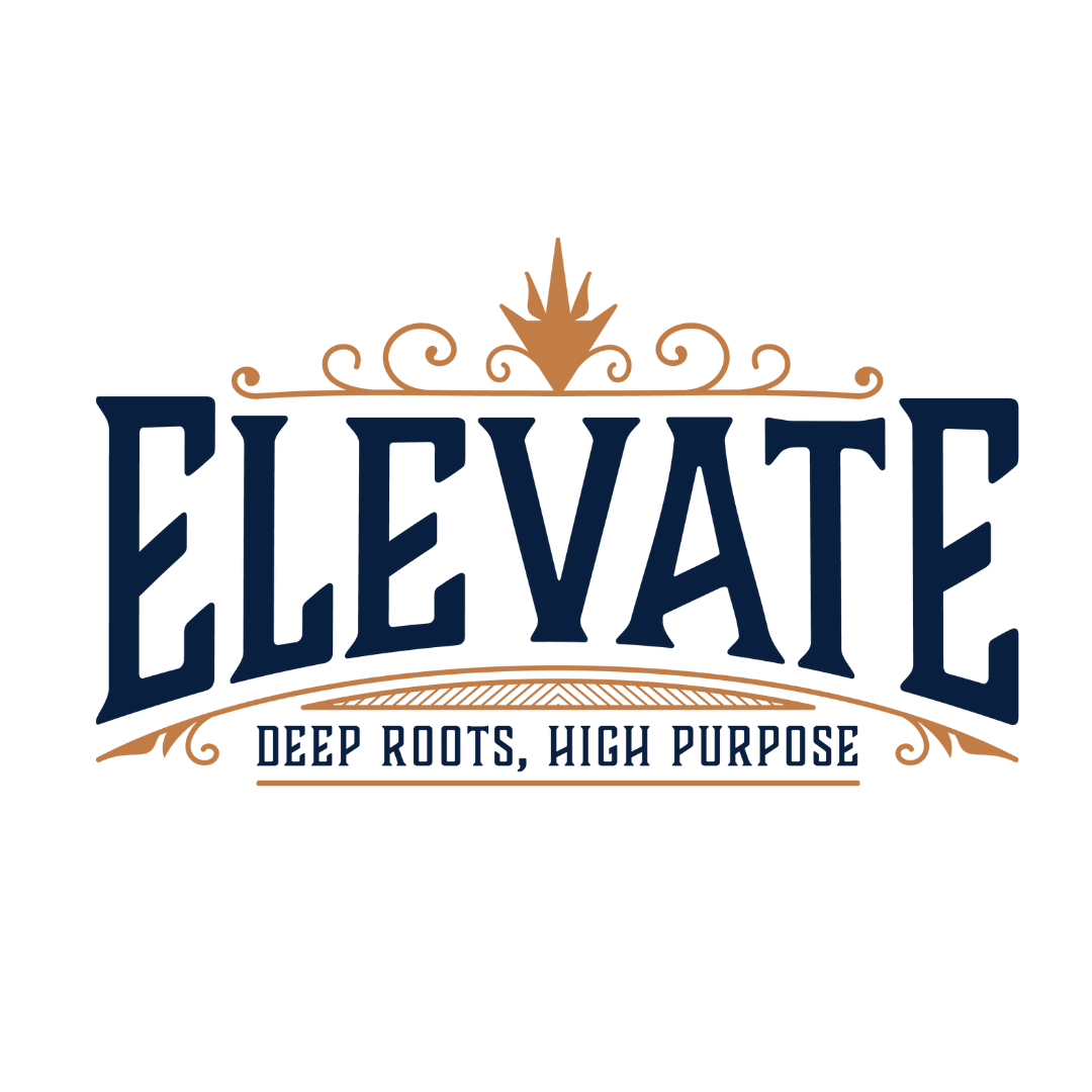 Elevate at Buds-A-Palooza 420 festival downtown phoenix april 11, 2026